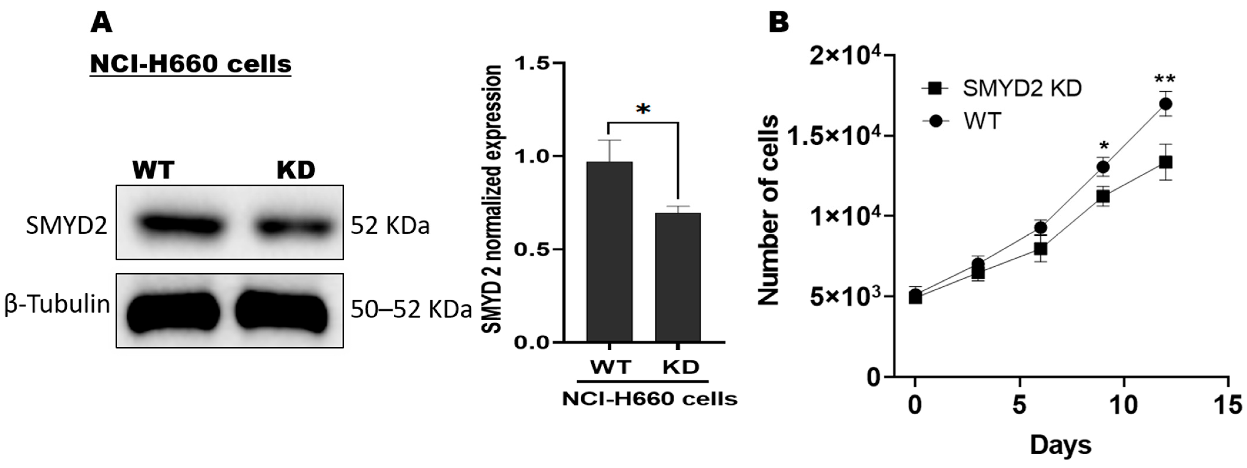 Nutrients 17 03947 g001 Nutrients 17 03947 g001