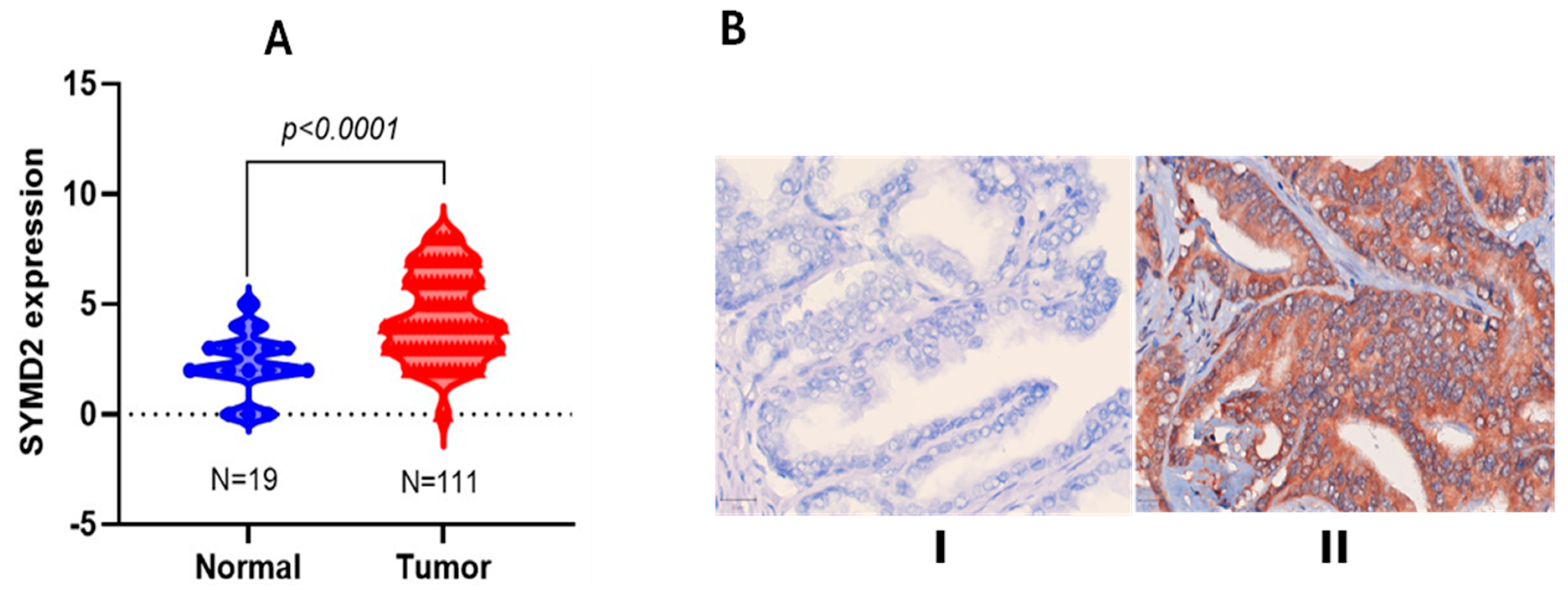 Nutrients 17 03947 g003 Nutrients 17 03947 g003