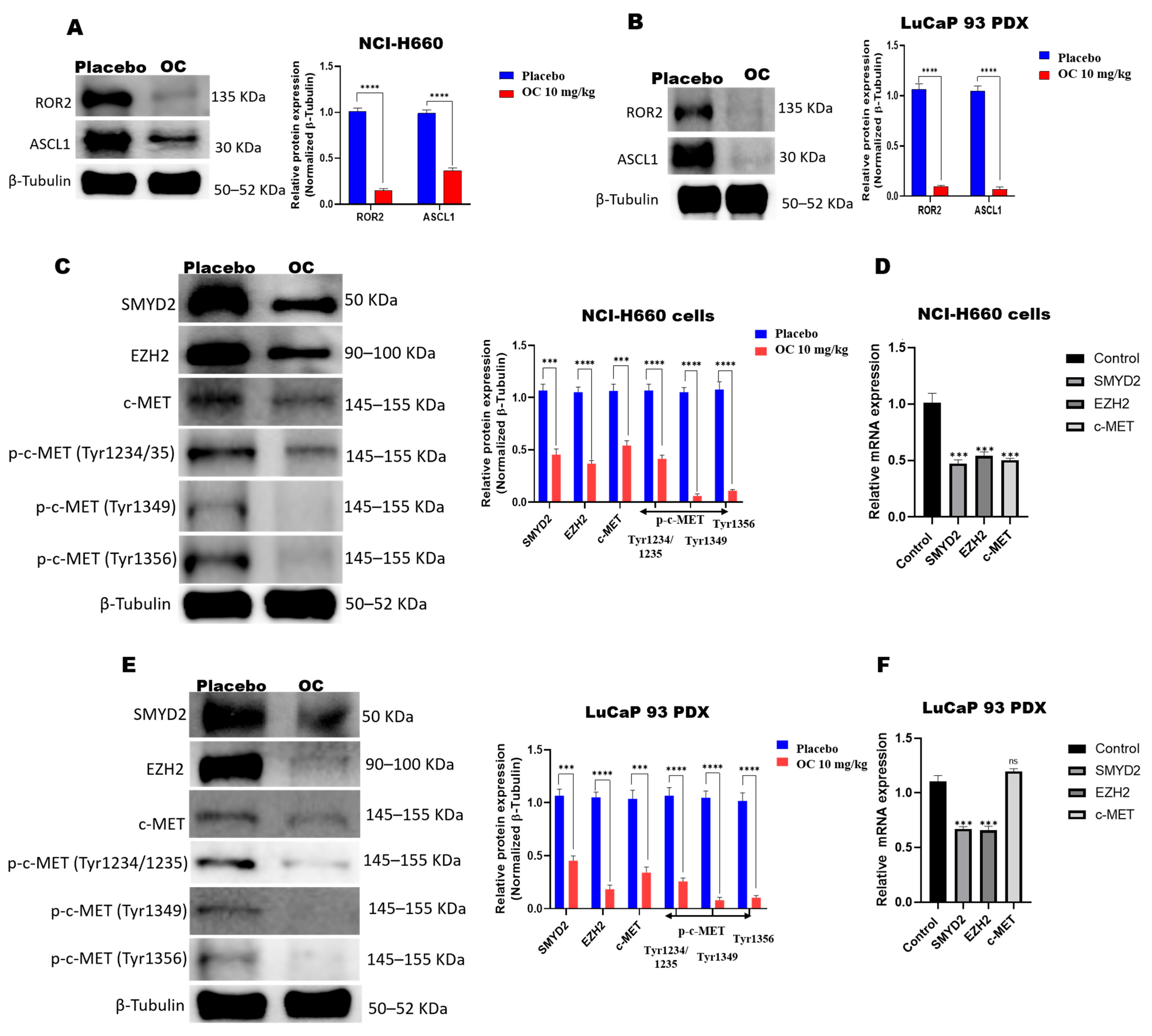 Nutrients 17 03947 g005 Nutrients 17 03947 g005
