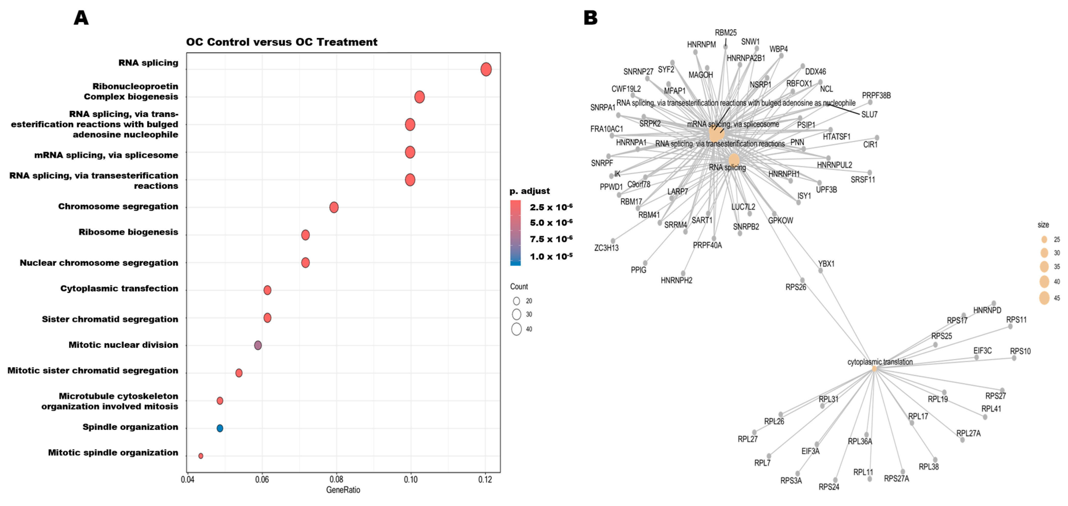 Nutrients 17 03947 g006a Nutrients 17 03947 g006a