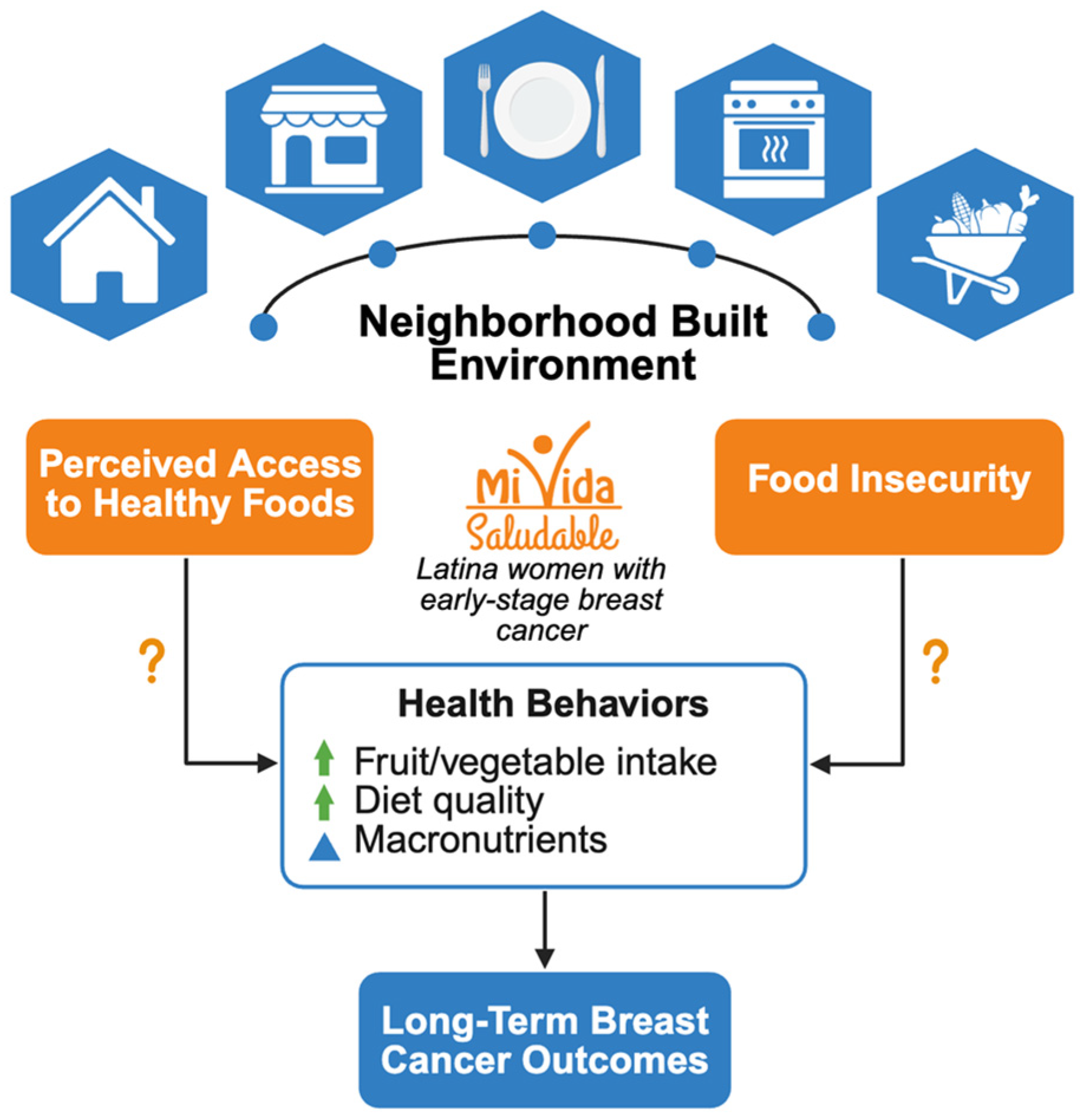 Nutrients 17 03950 g001 Nutrients 17 03950 g001