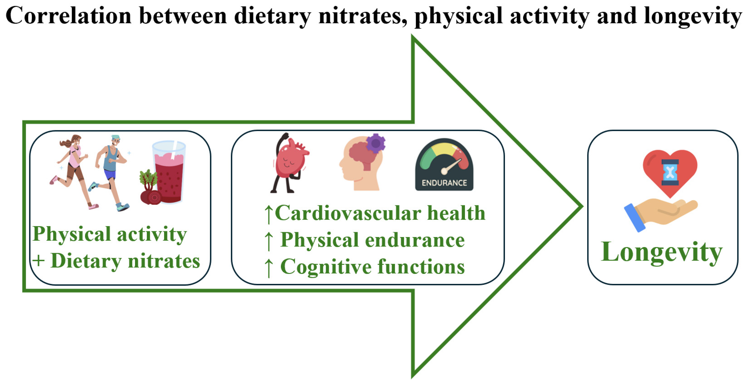 Nutrients 17 03954 g002 Nutrients 17 03954 g002