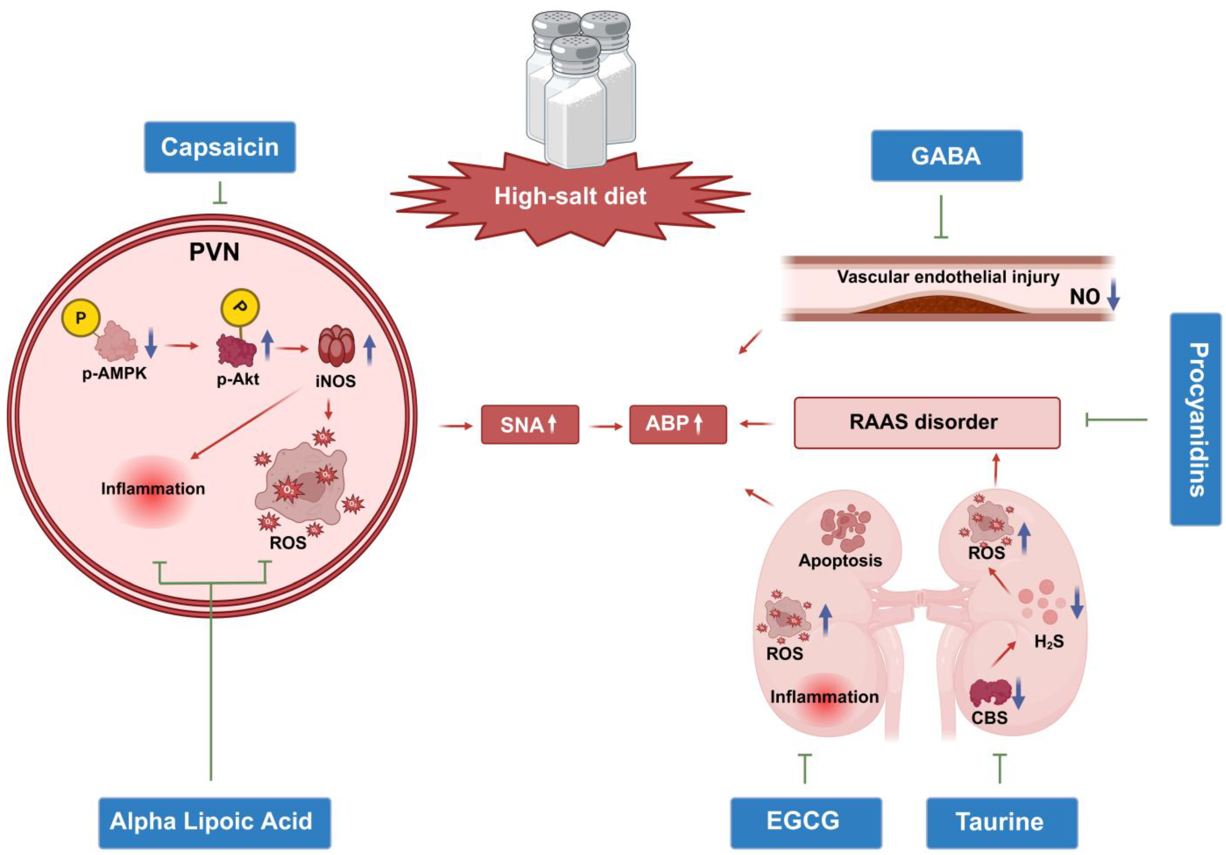 Nutrients 17 03961 g002