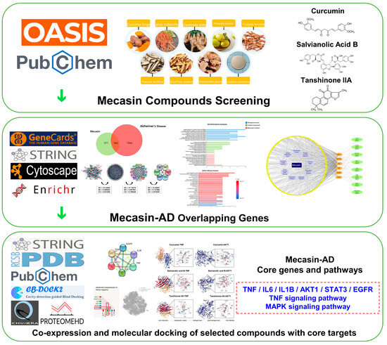 Network Pharmacology-Based Characterization of Mecasin (KCHO-1) as
