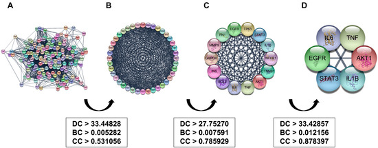 Network Pharmacology-Based Characterization of Mecasin (KCHO-1) as