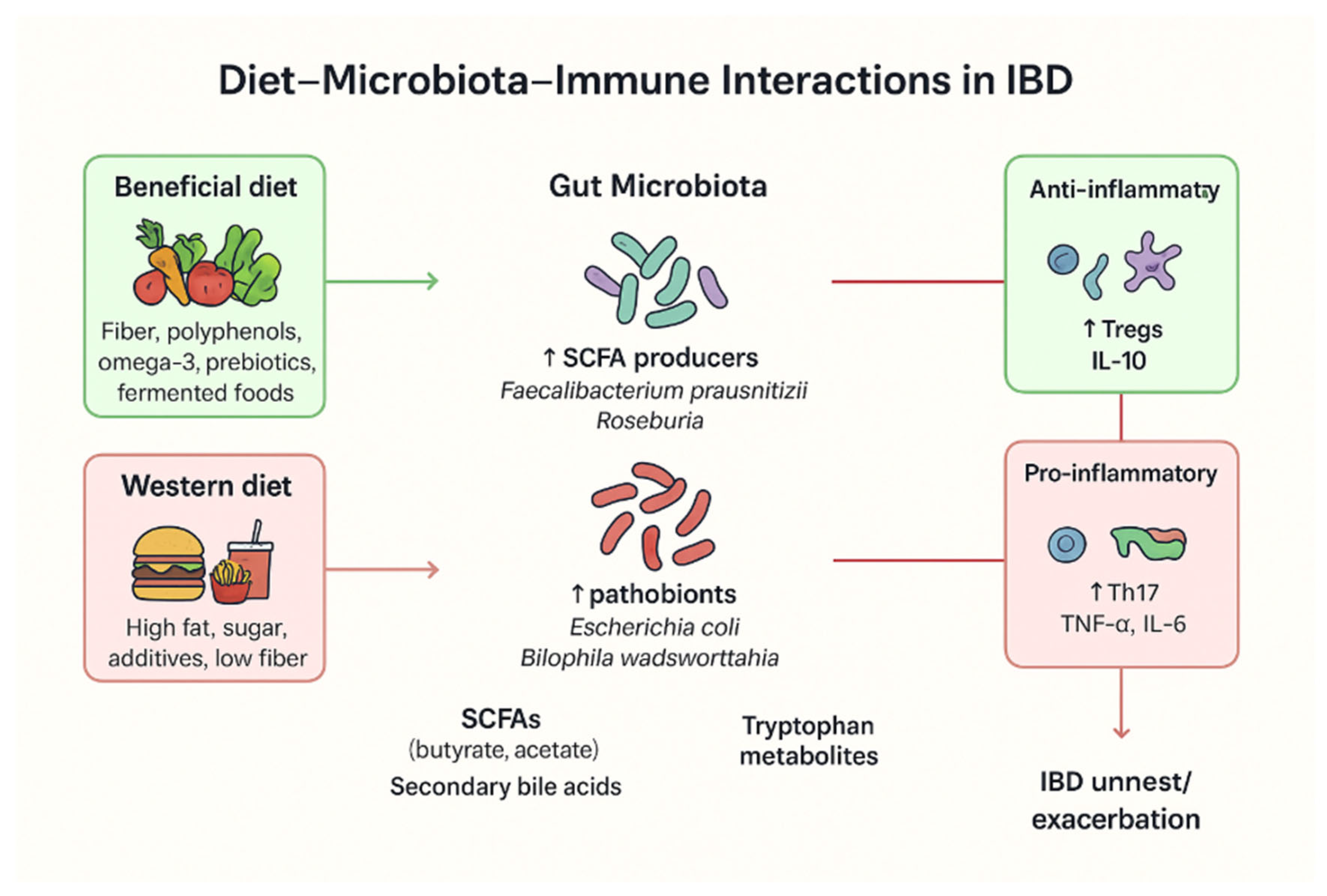 Nutrients 18 00009 g001