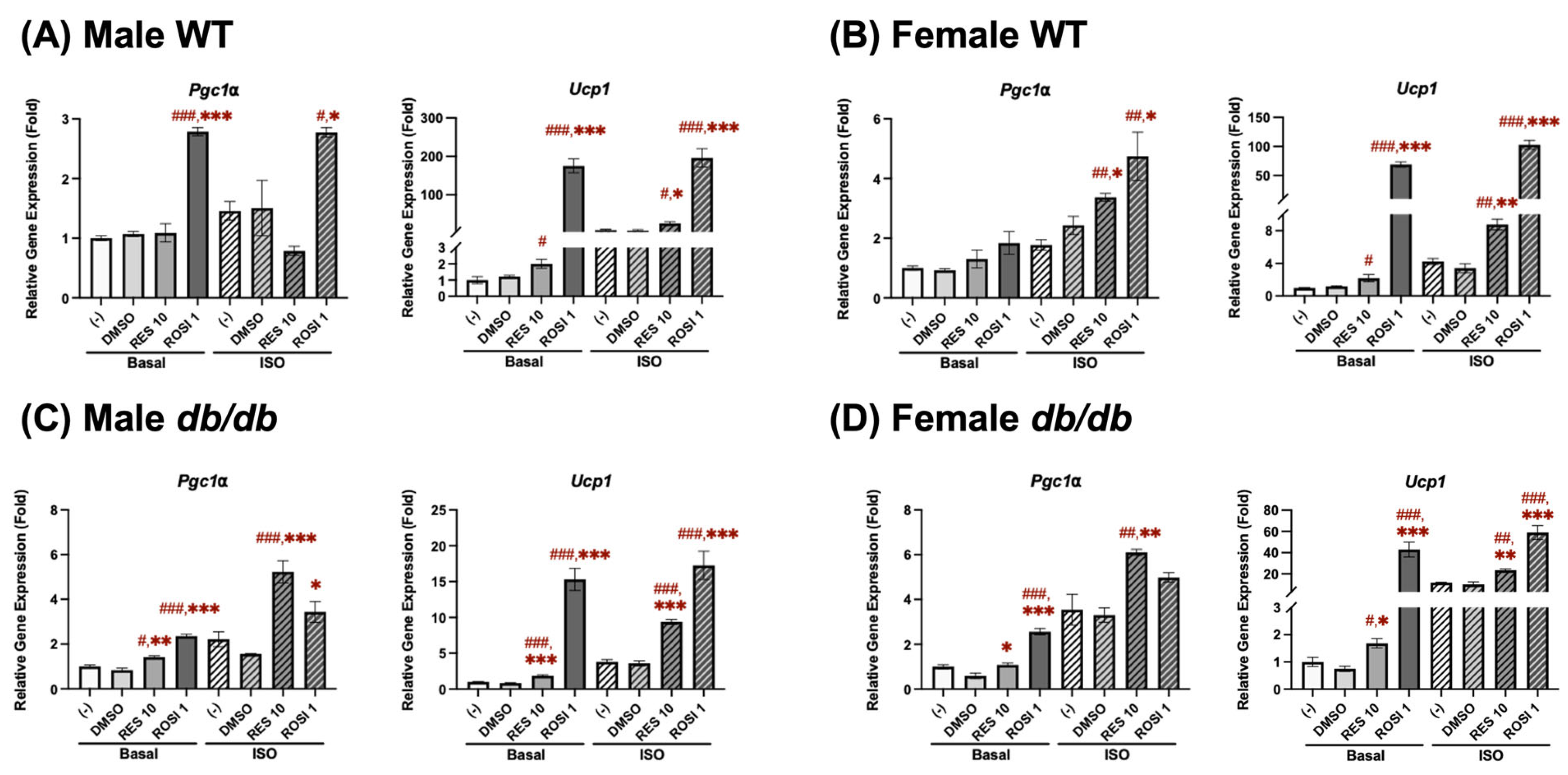 Nutrients 18 00019 g001