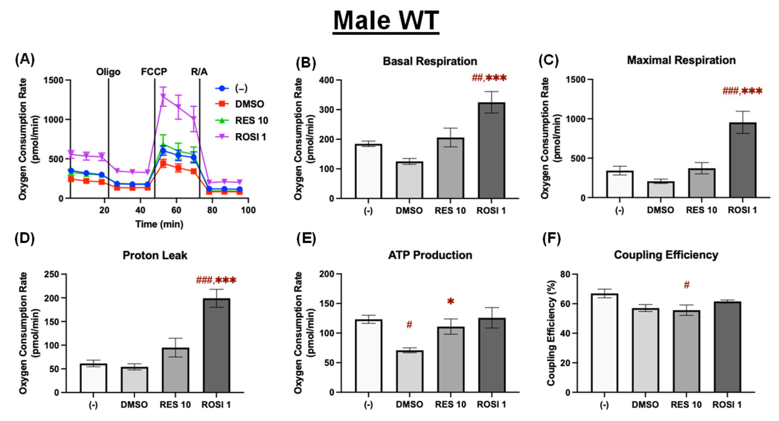 Nutrients 18 00019 g003