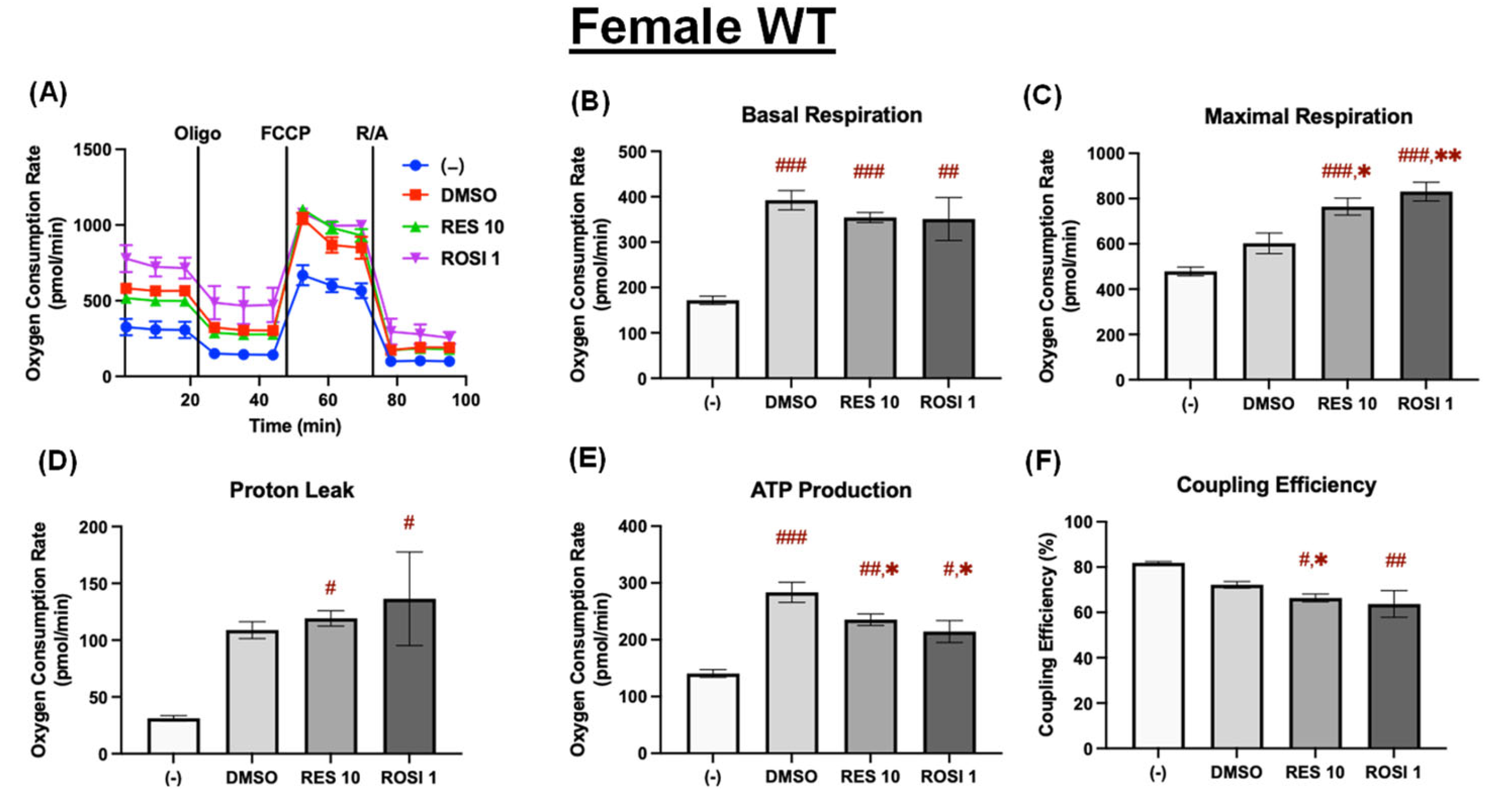 Nutrients 18 00019 g004
