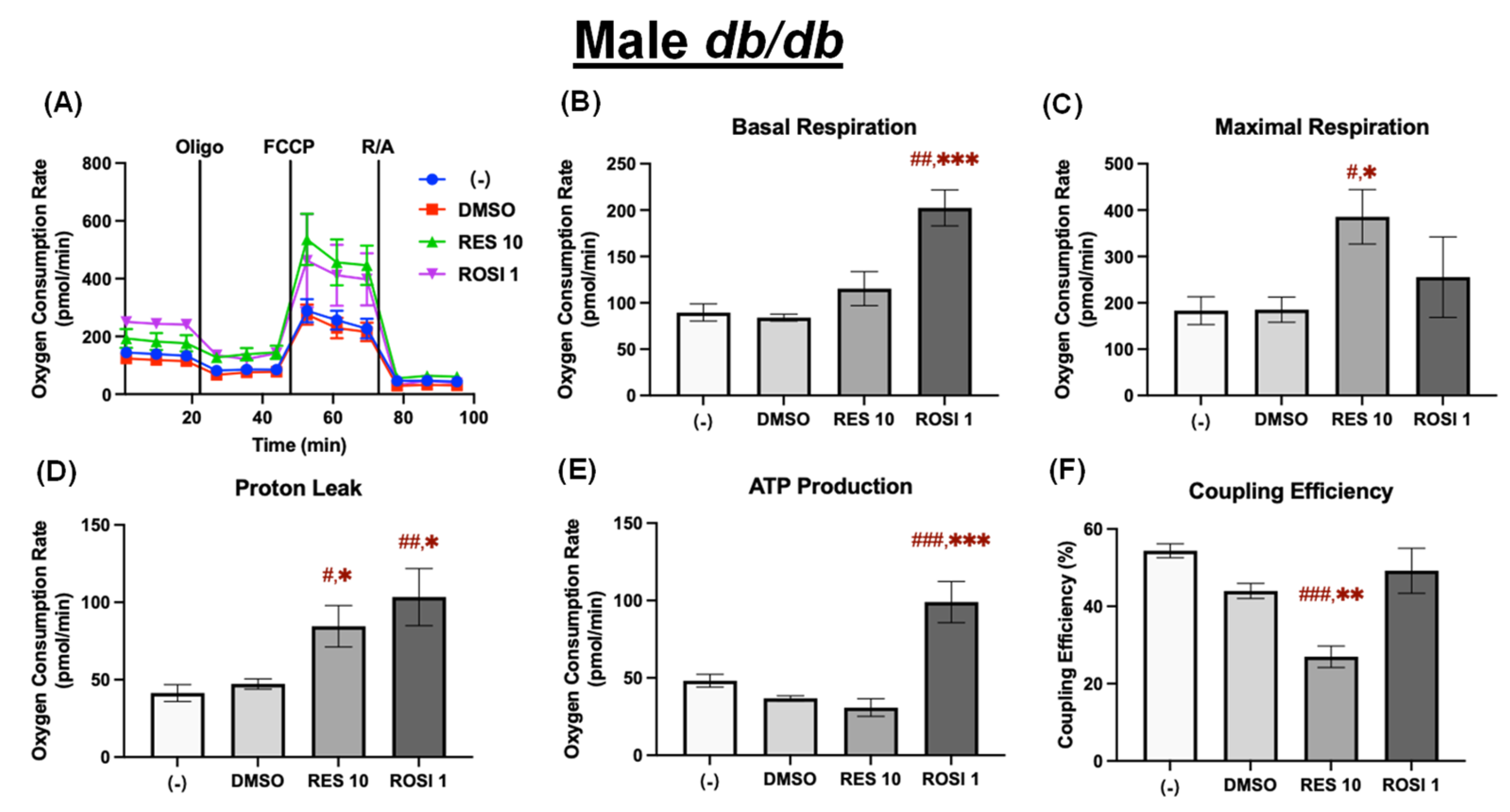 Nutrients 18 00019 g005