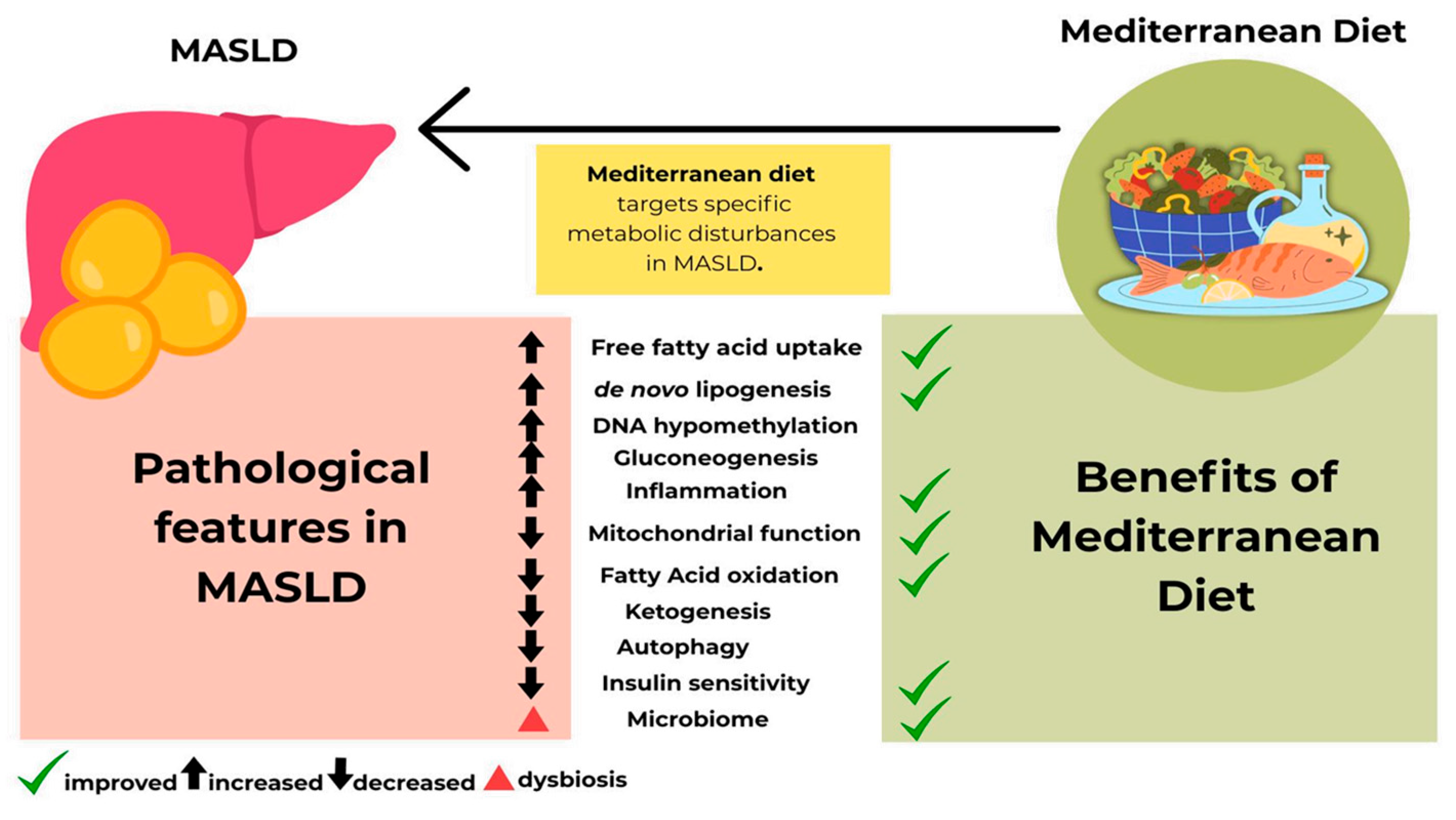 Nutrients 18 00028 g002