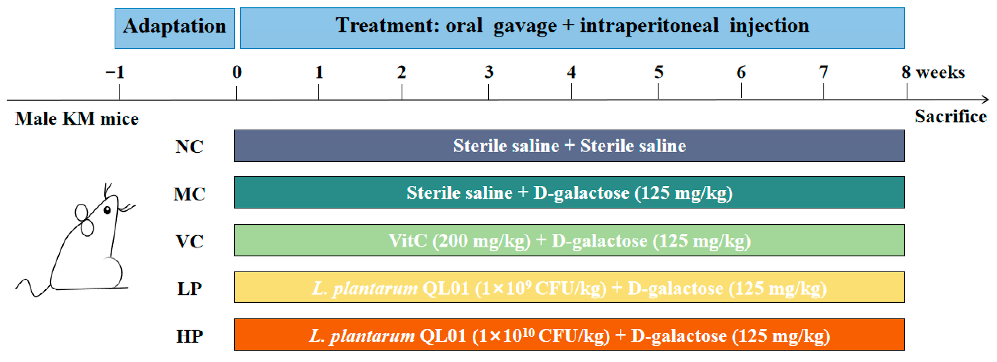 Nutrients 18 00035 g001