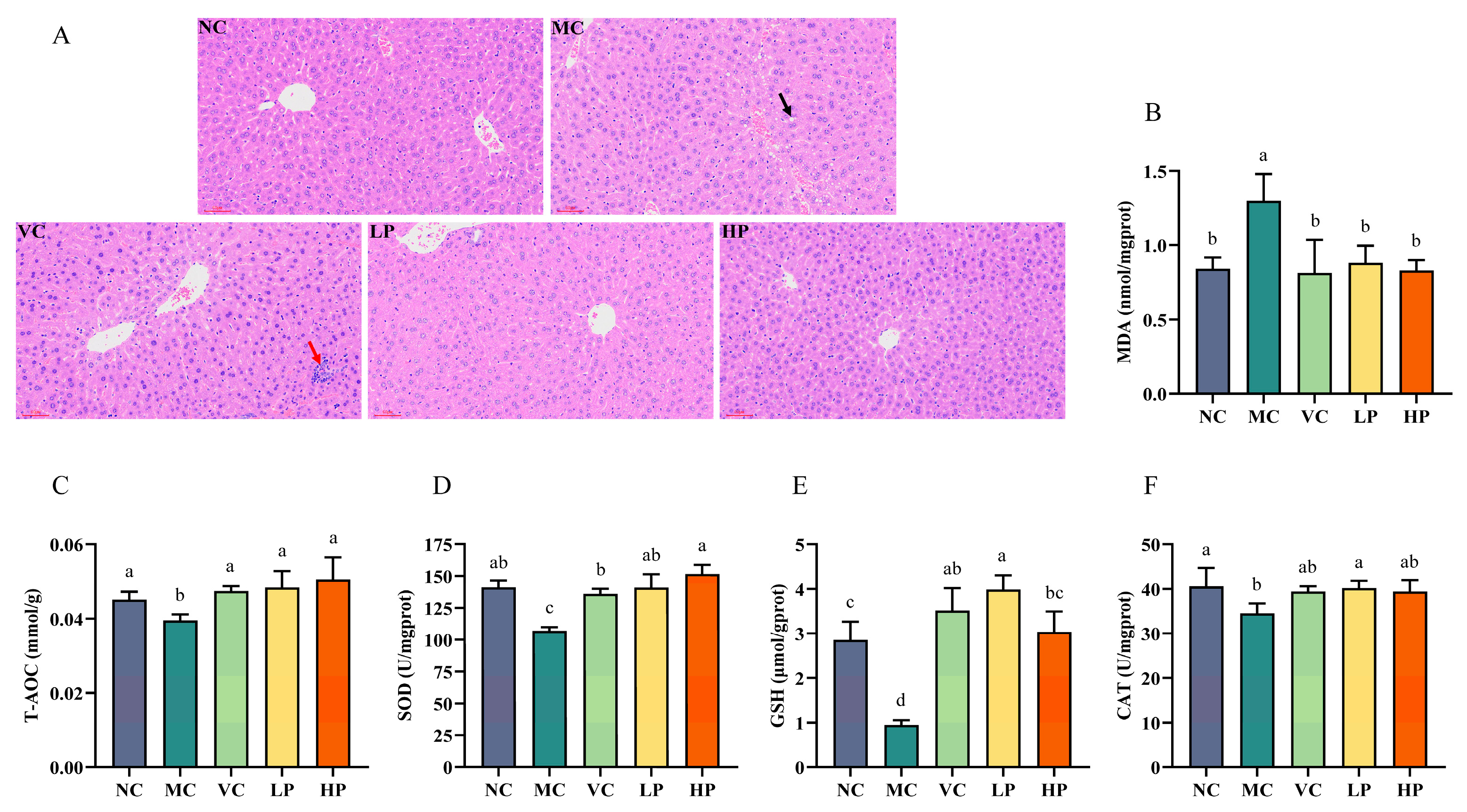 Nutrients 18 00035 g003