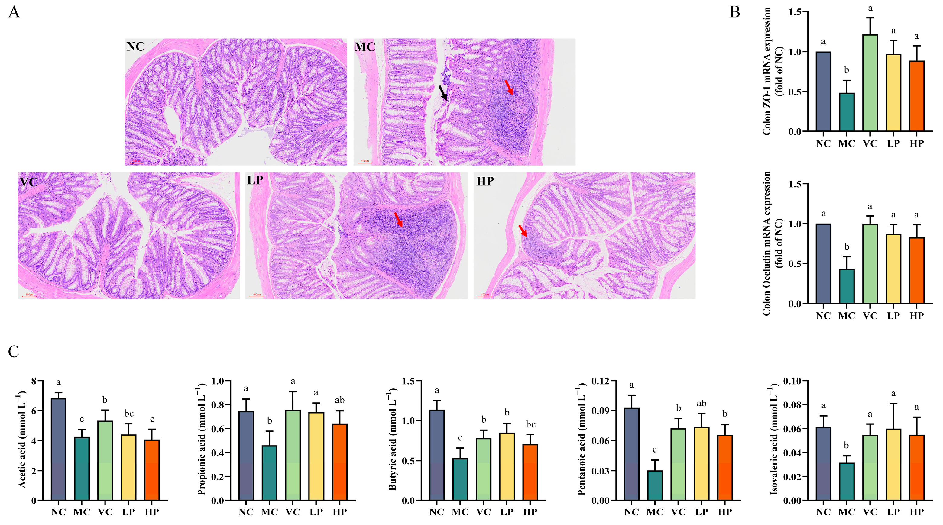 Nutrients 18 00035 g004
