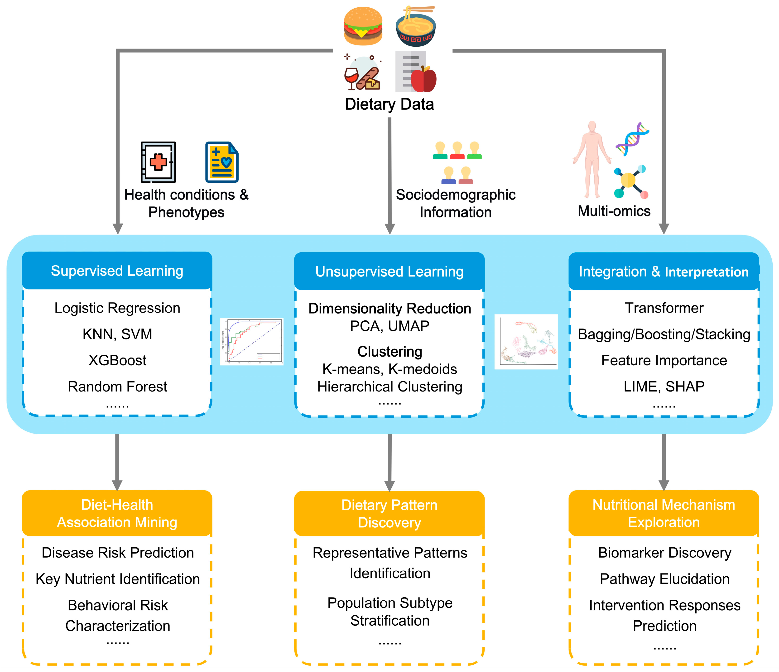 Nutrients 18 00045 g002
