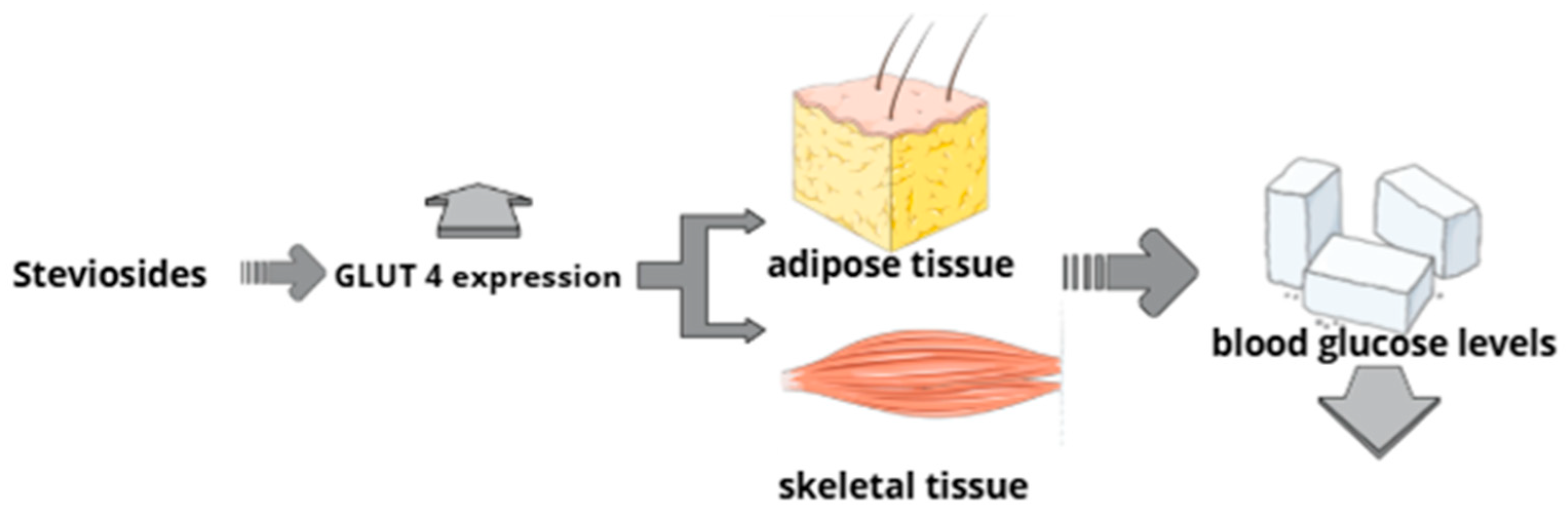 Nutrients 18 00052 g002