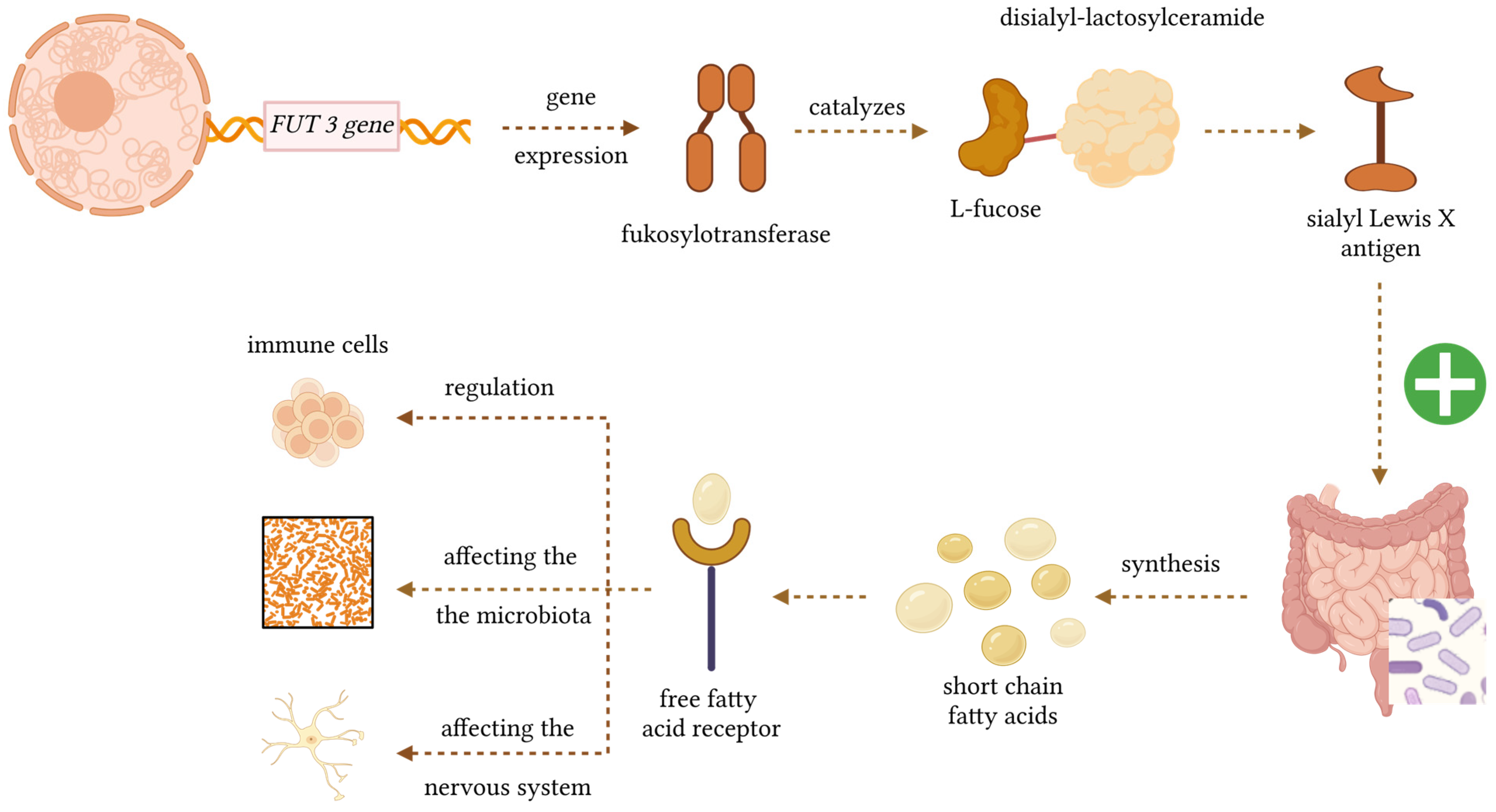 Nutrients 18 00062 g001