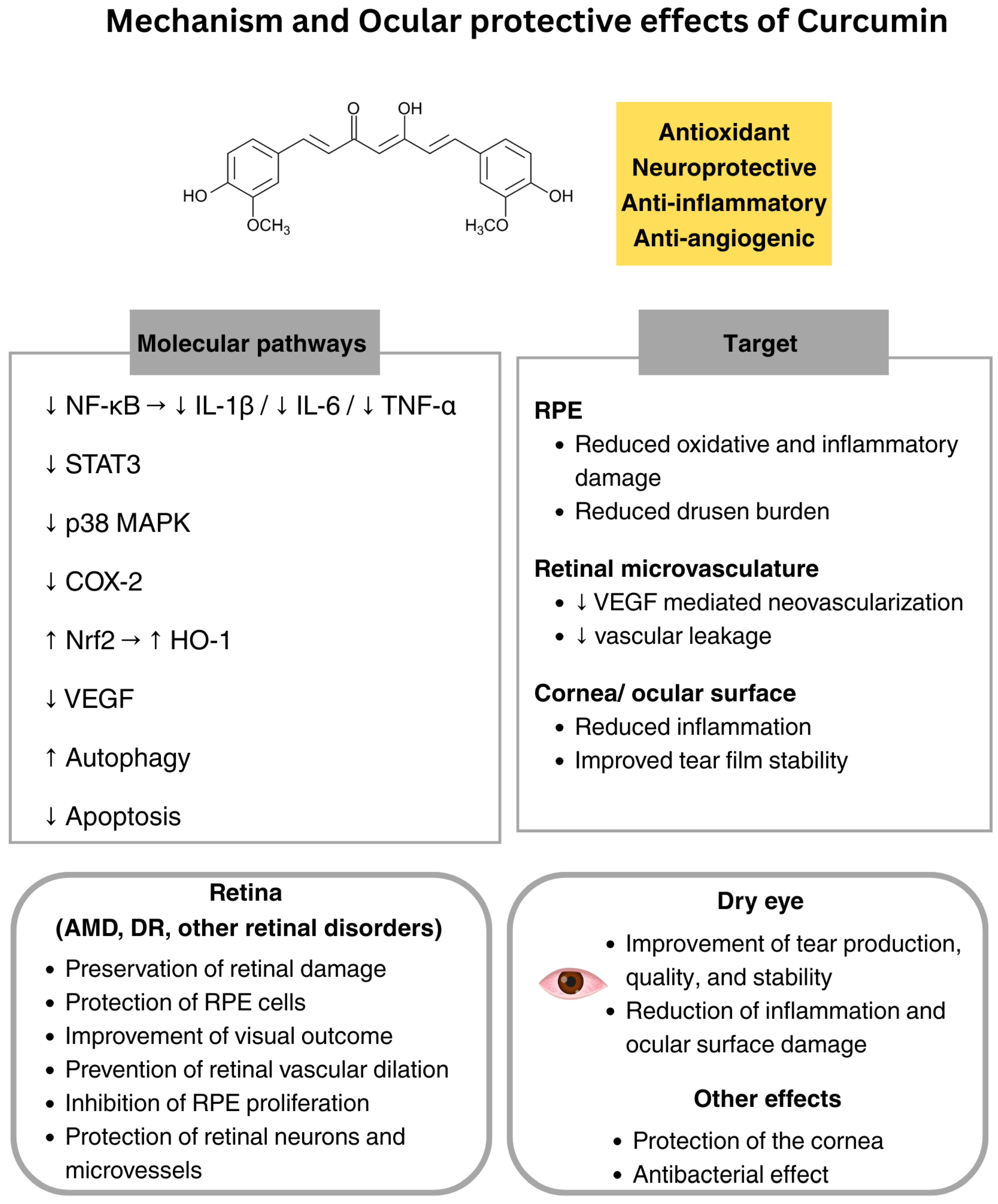 Nutrients 18 00069 g003
