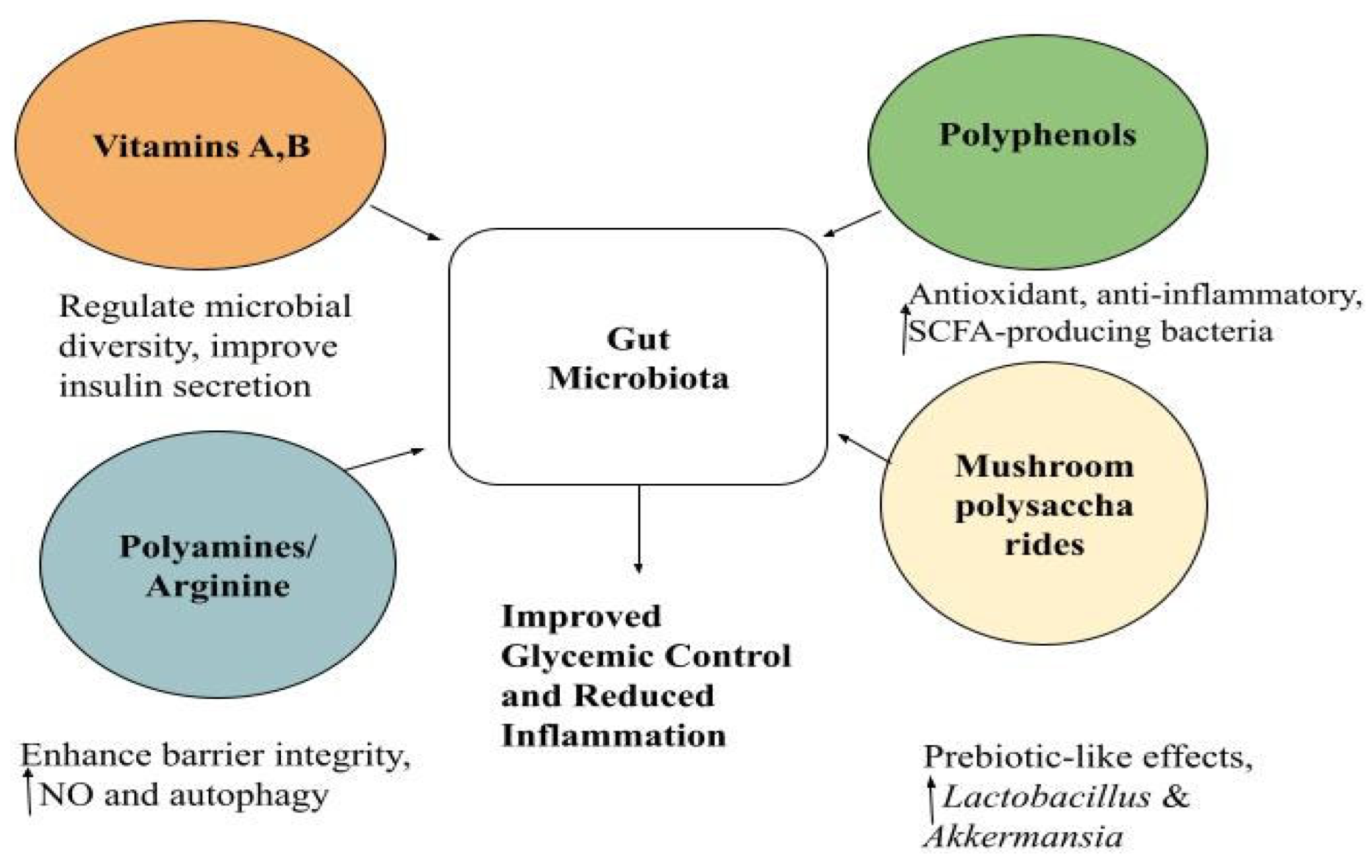 Nutrients 18 00089 g002