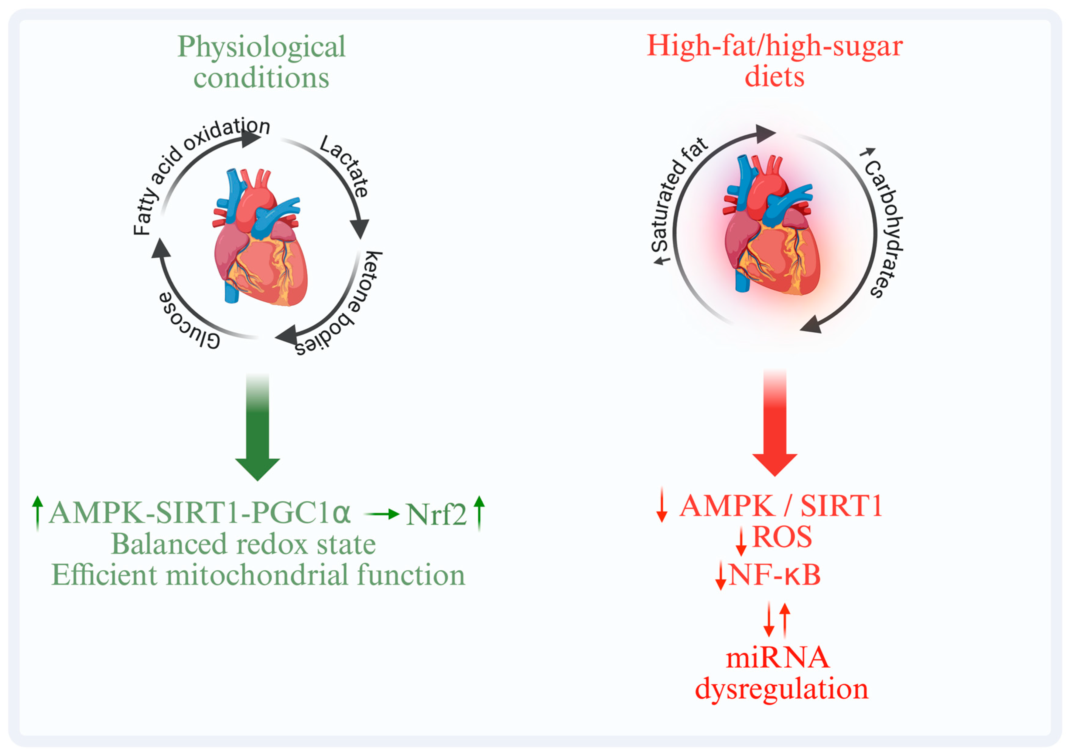 Nutrients 18 00093 g001