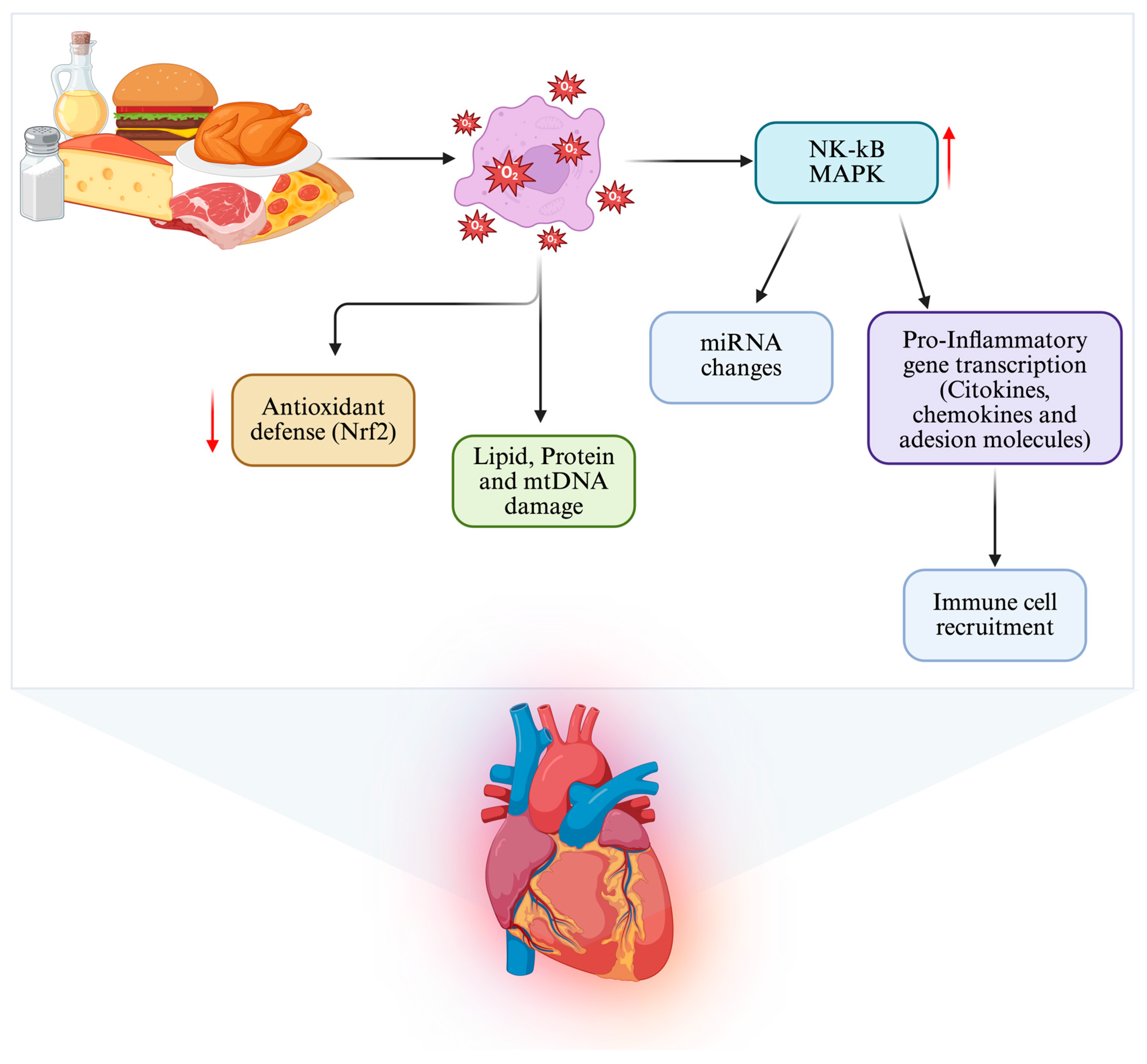 Nutrients 18 00093 g002