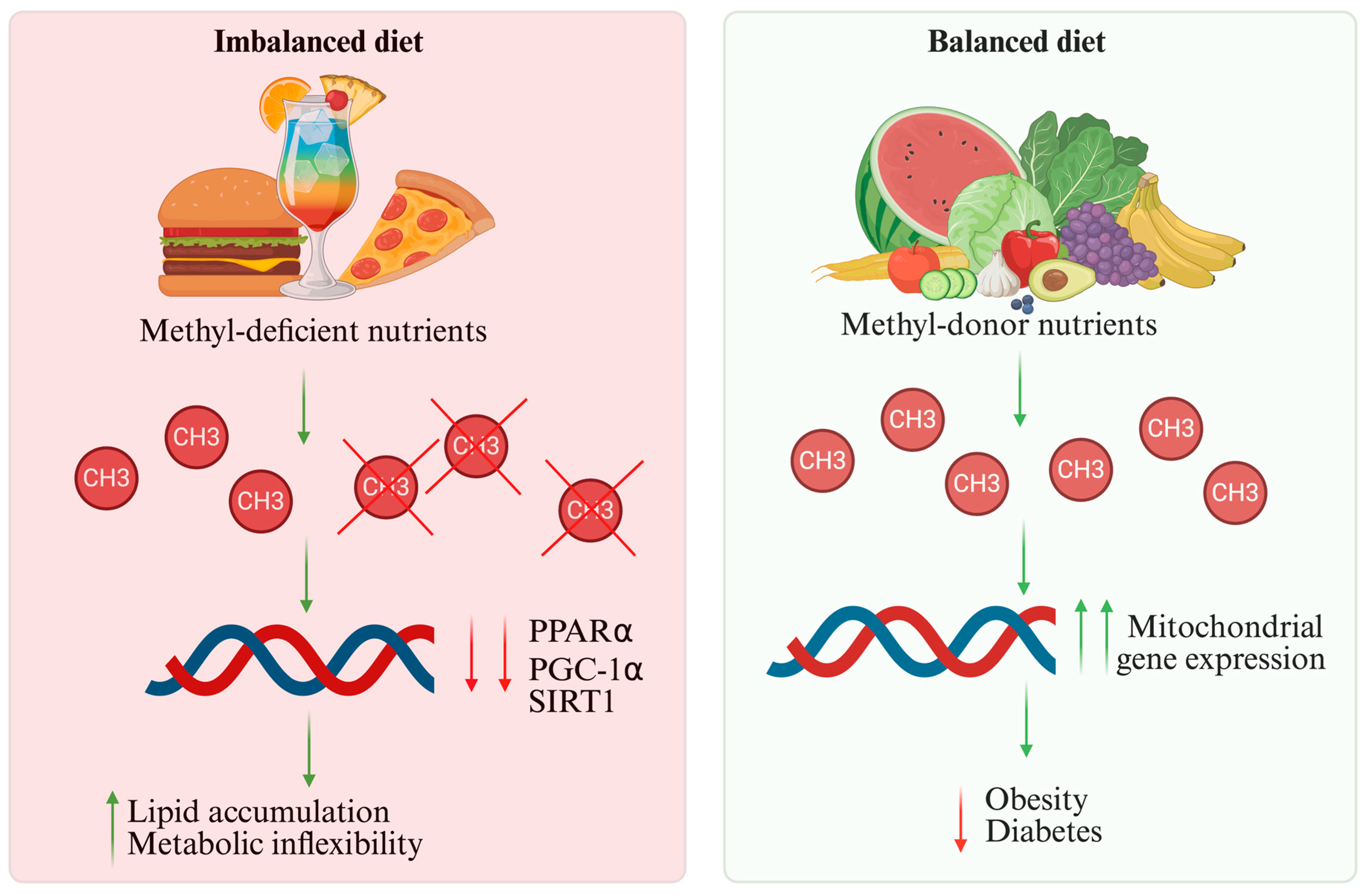 Nutrients 18 00093 g003