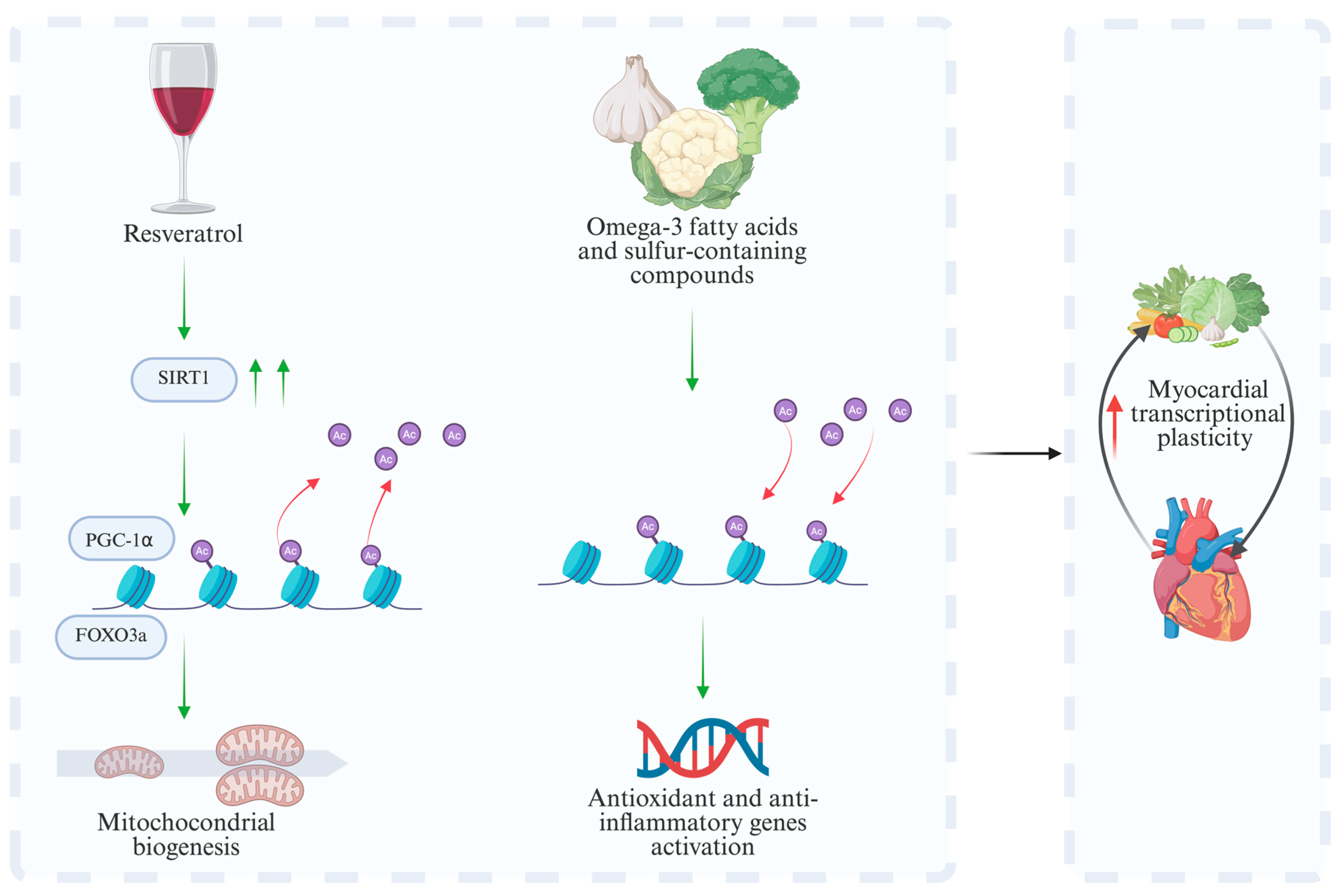 Nutrients 18 00093 g004
