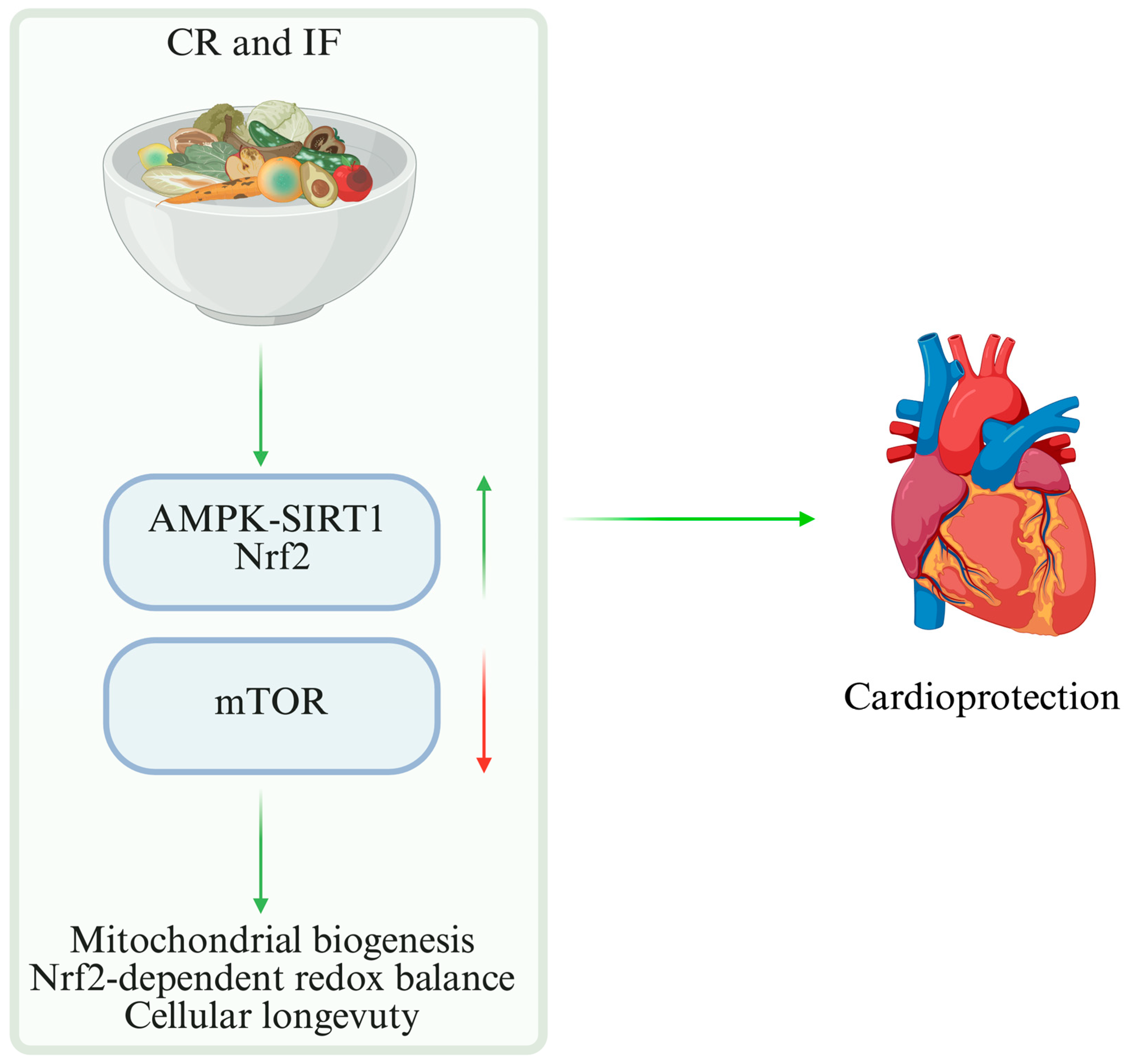 Nutrients 18 00093 g005