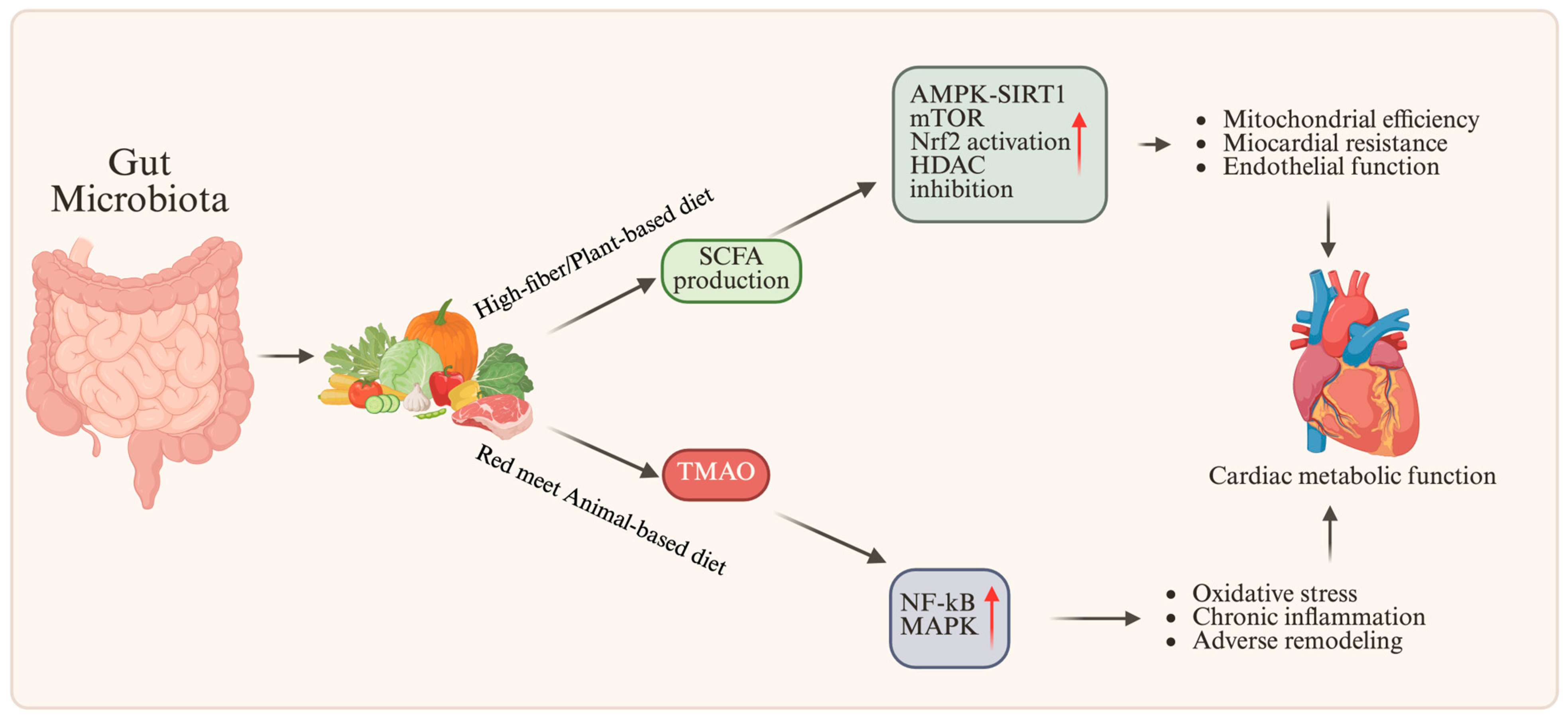 Nutrients 18 00093 g006