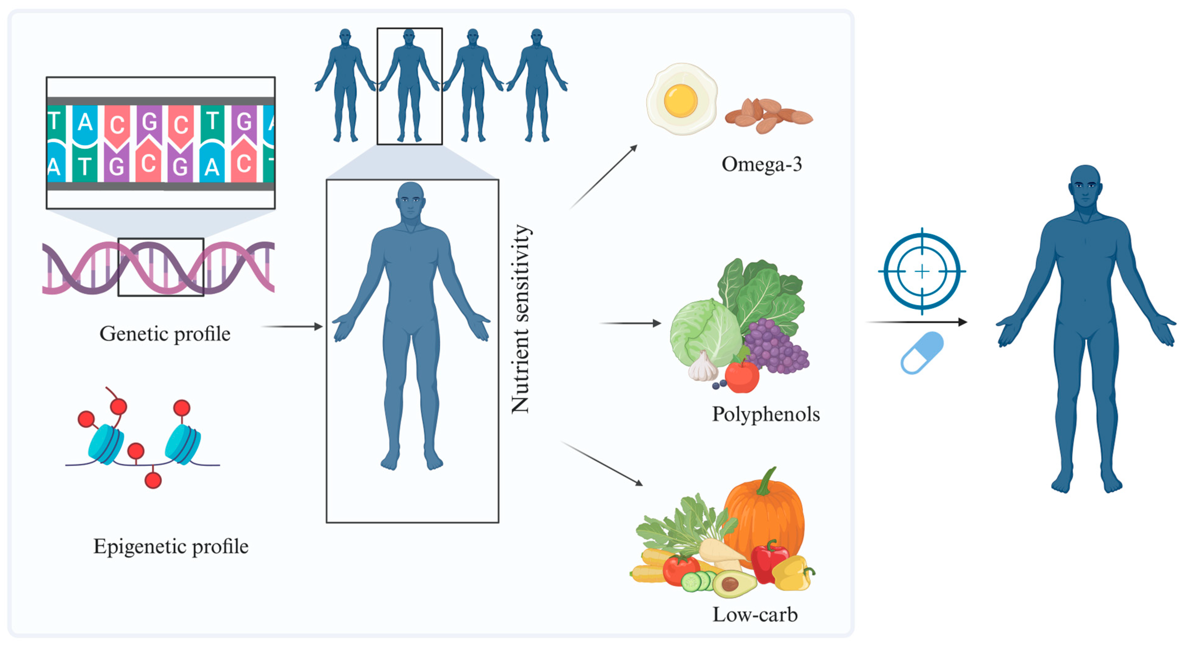 Nutrients 18 00093 g007
