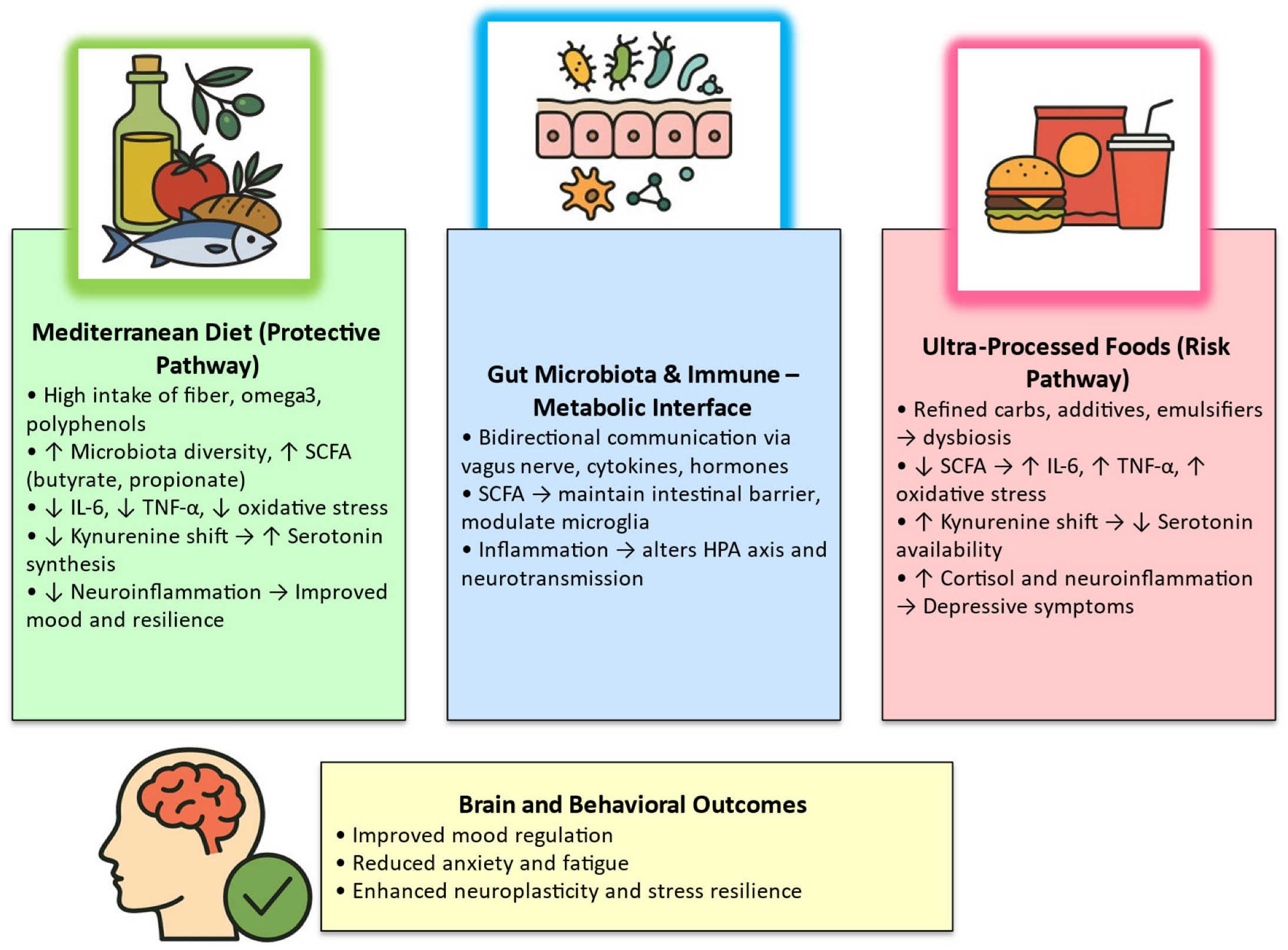 Nutrients 18 00096 g002