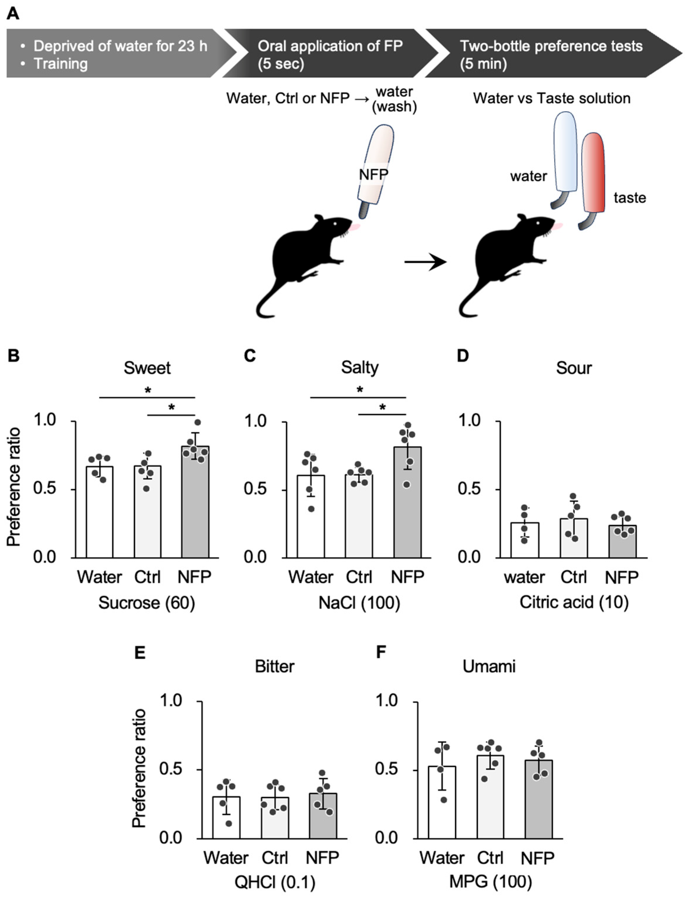 Nutrients 18 00098 g001