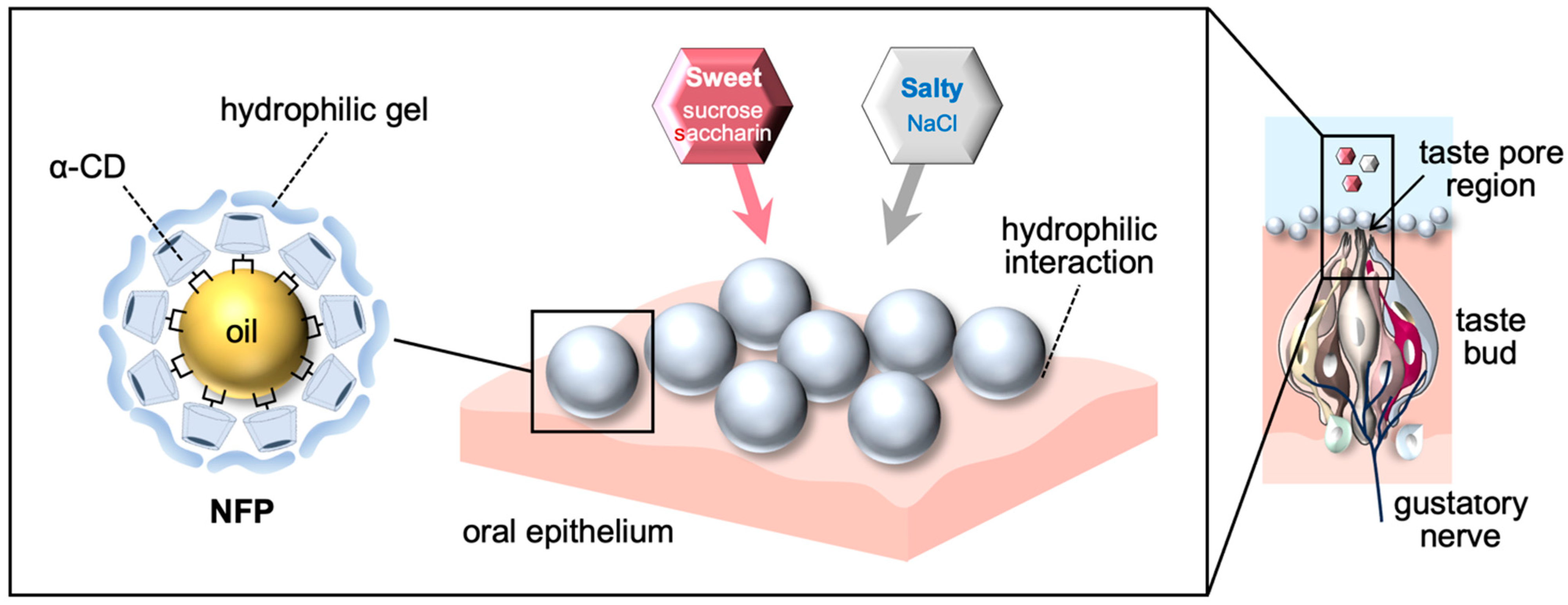 Nutrients 18 00098 g003