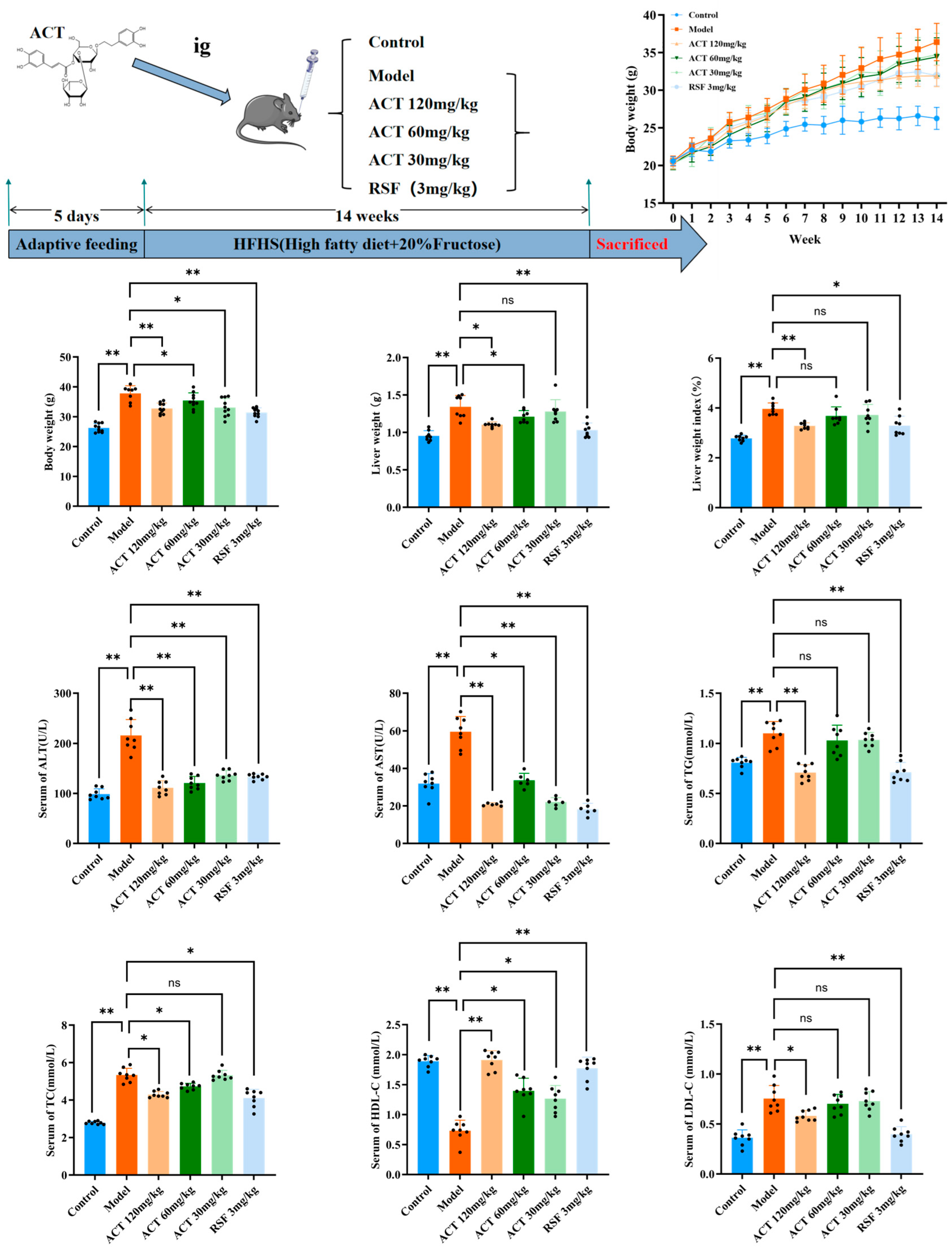 Nutrients 18 00118 g001