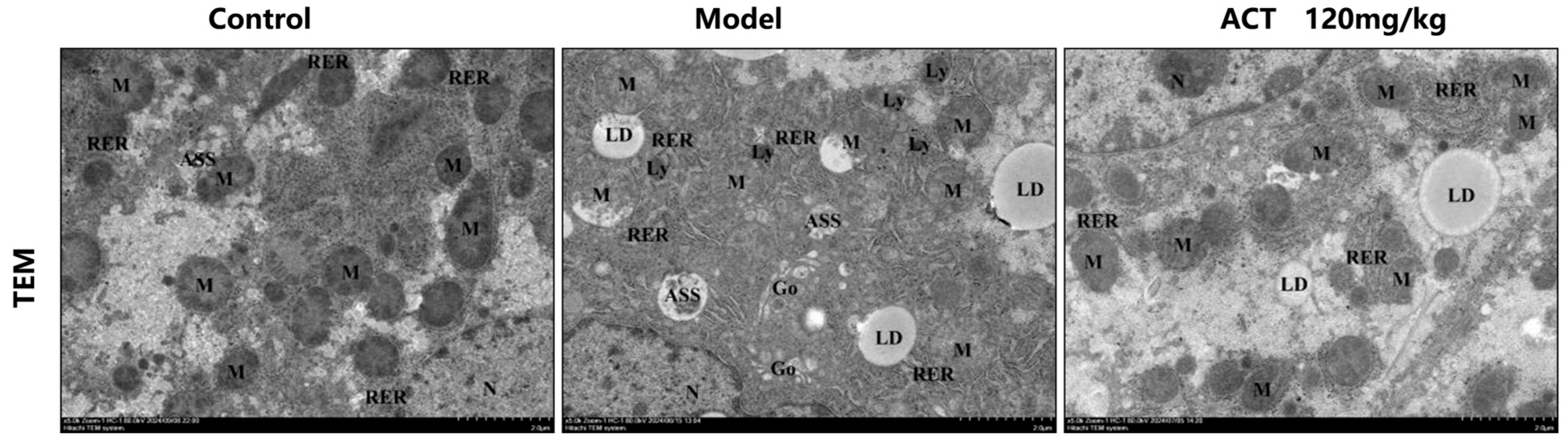 Nutrients 18 00118 g004