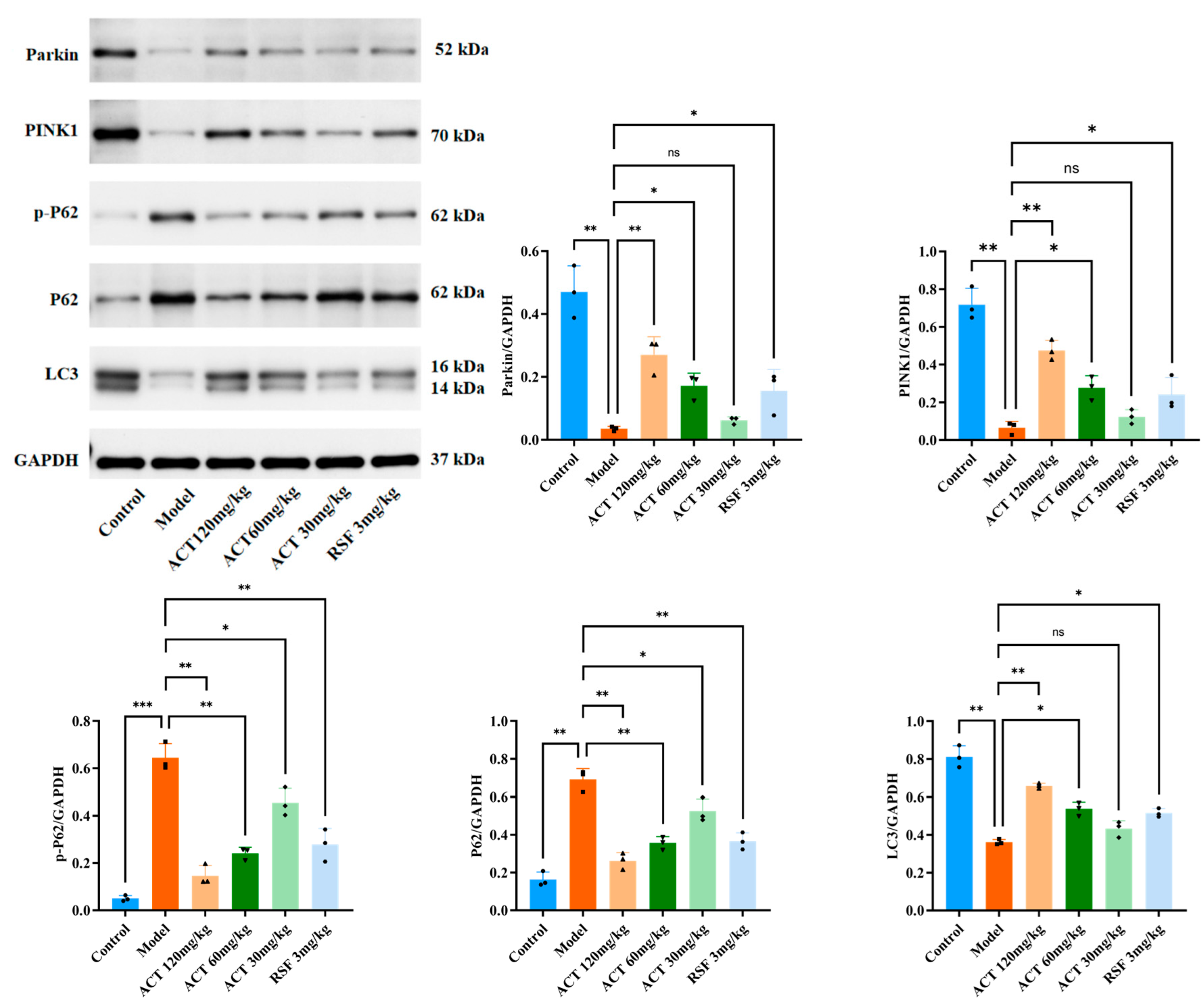 Nutrients 18 00118 g006