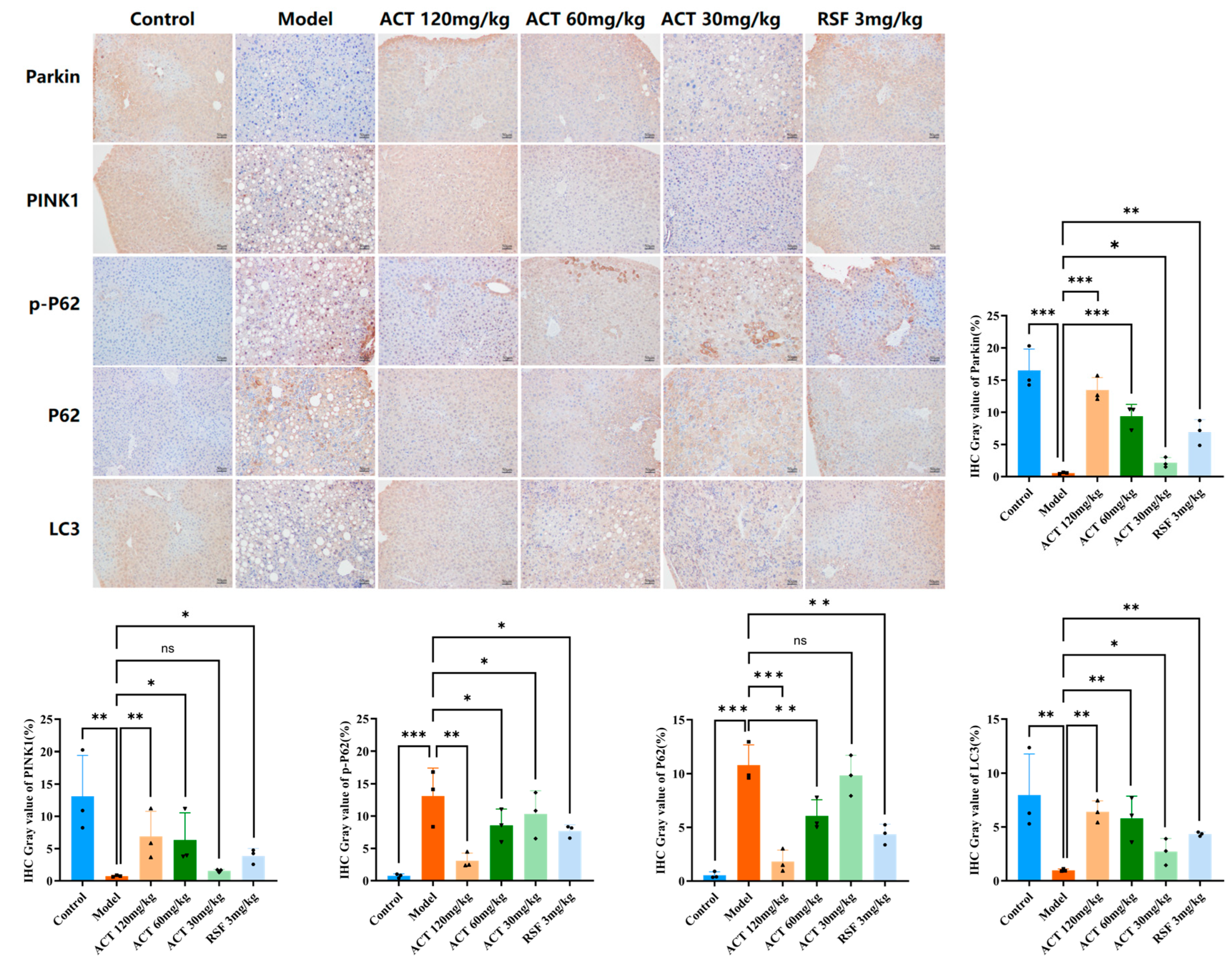 Nutrients 18 00118 g007