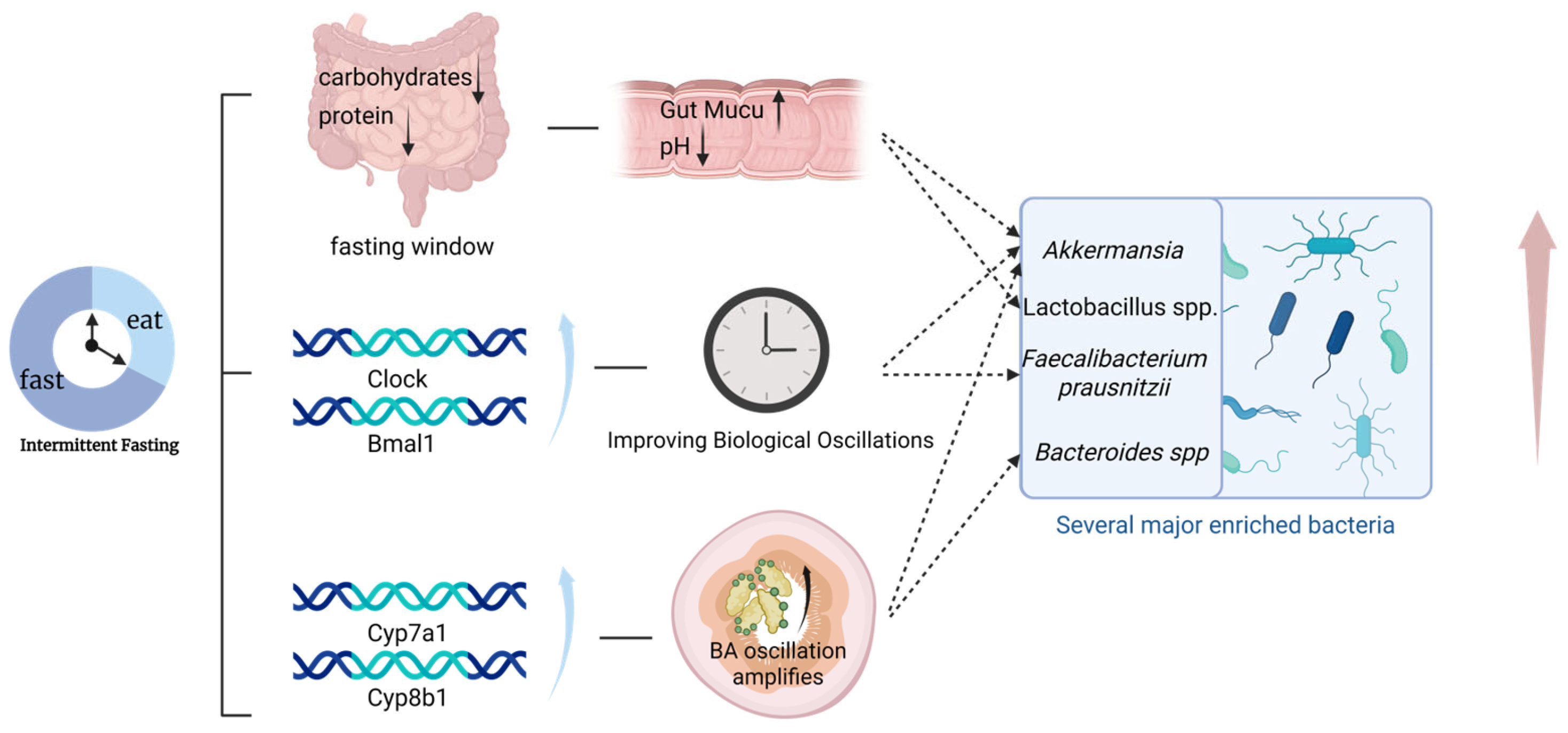 Nutrients 18 00119 g001