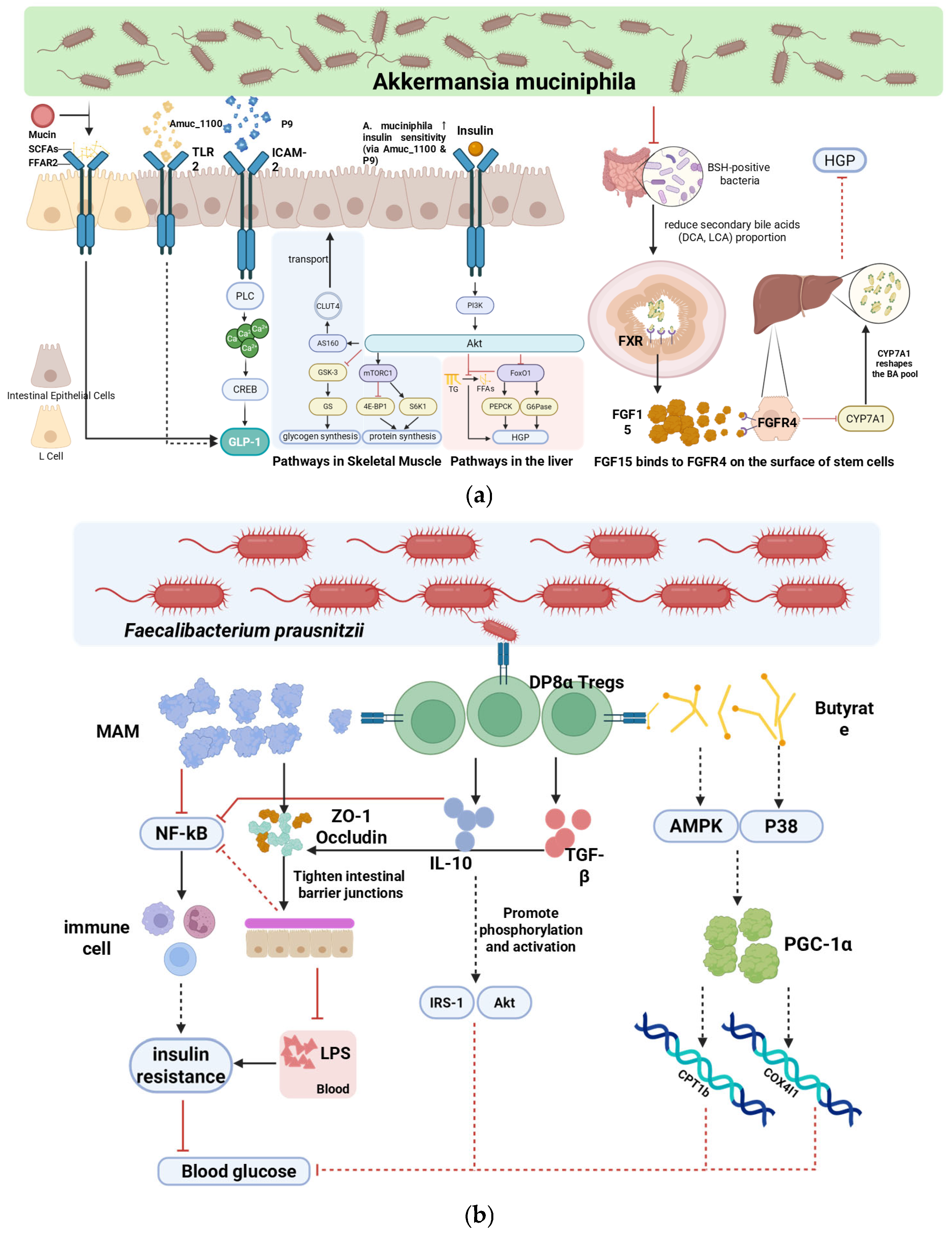 Nutrients 18 00119 g002