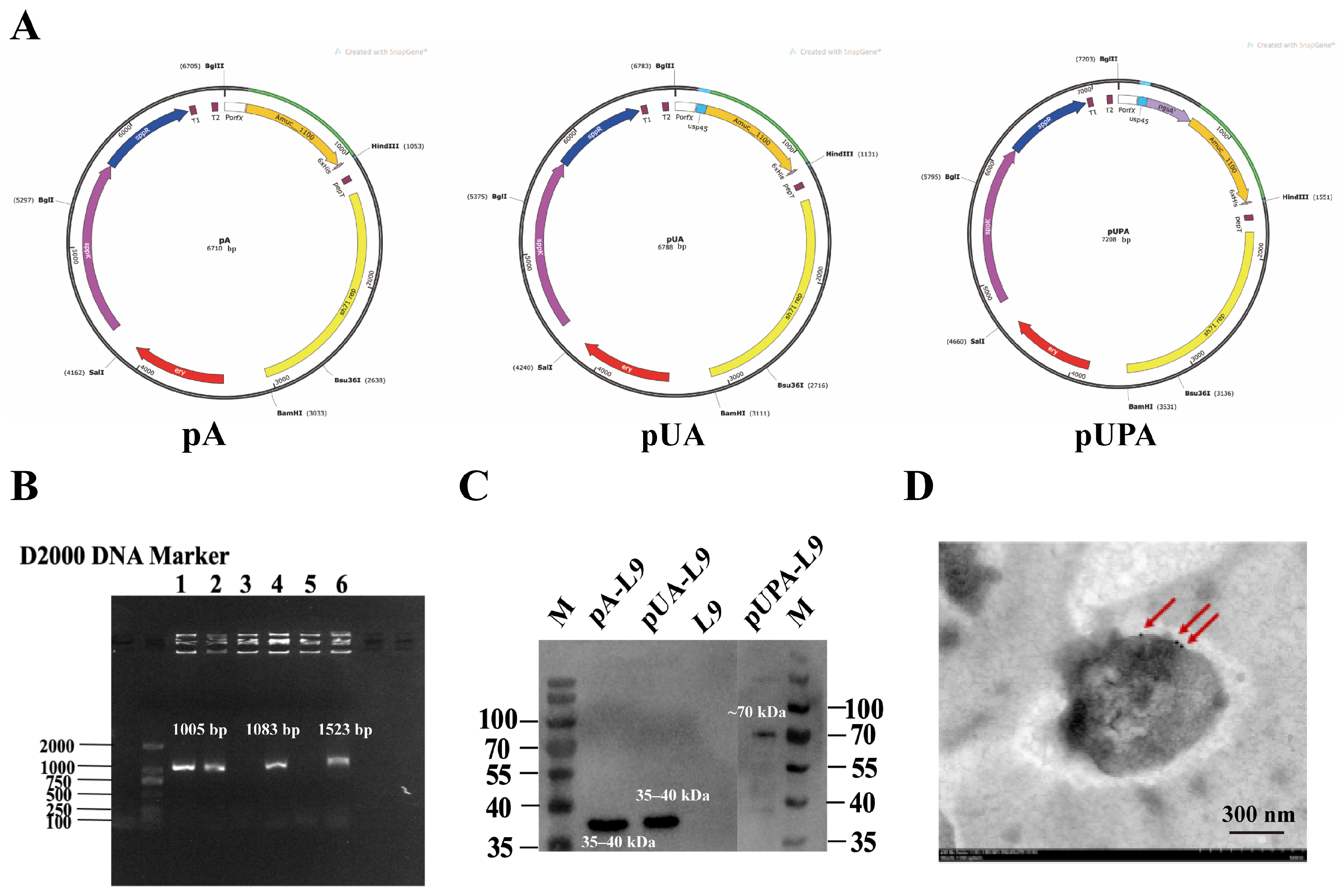 Nutrients 18 00123 g001