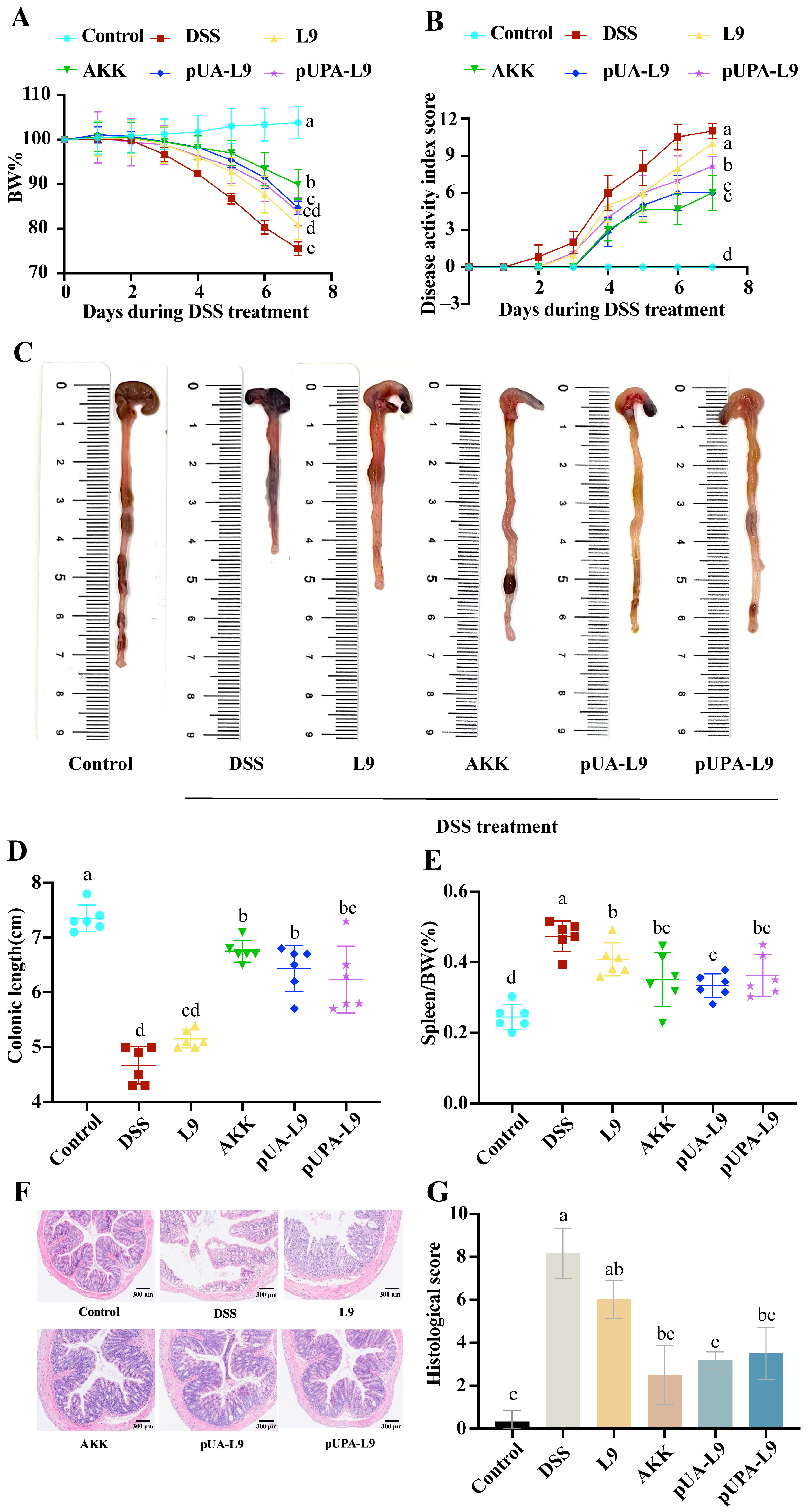 Nutrients 18 00123 g003