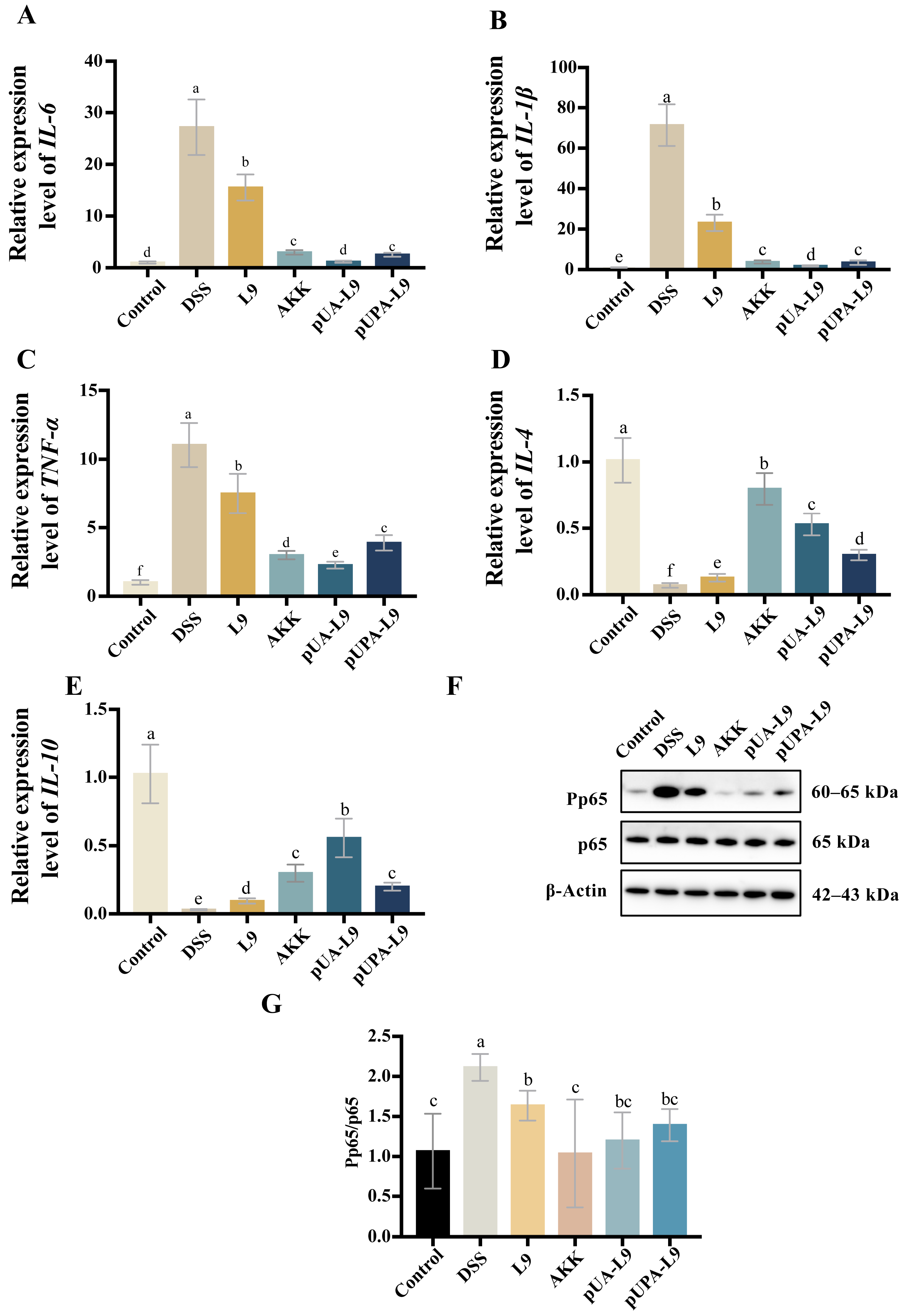 Nutrients 18 00123 g004
