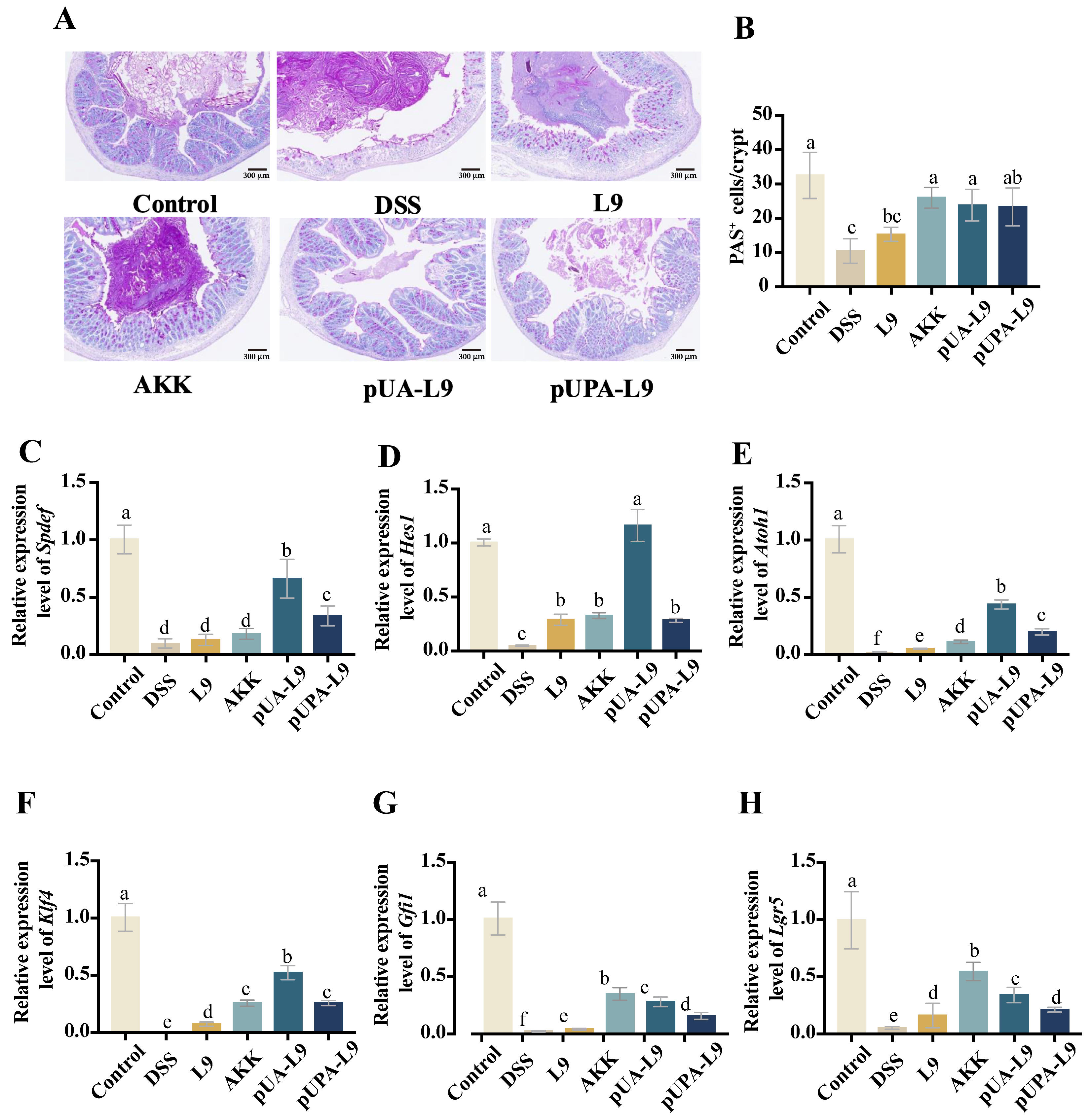 Nutrients 18 00123 g007