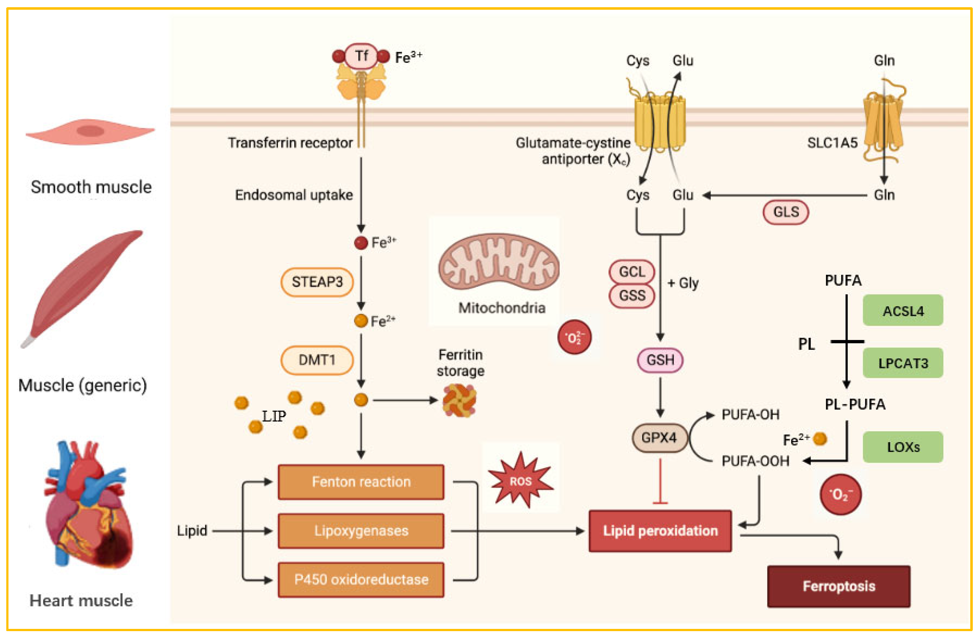 Nutrients 18 00139 g002