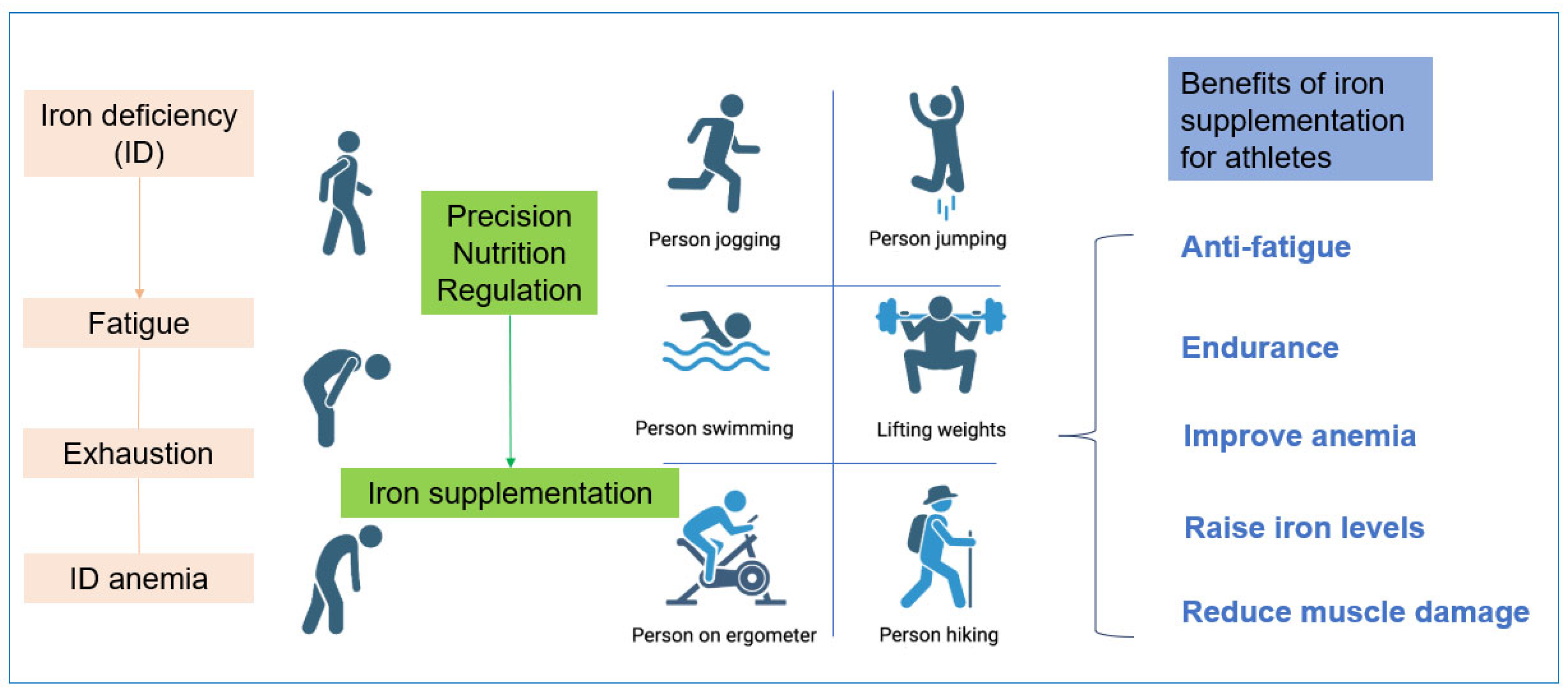 Nutrients 18 00139 g003