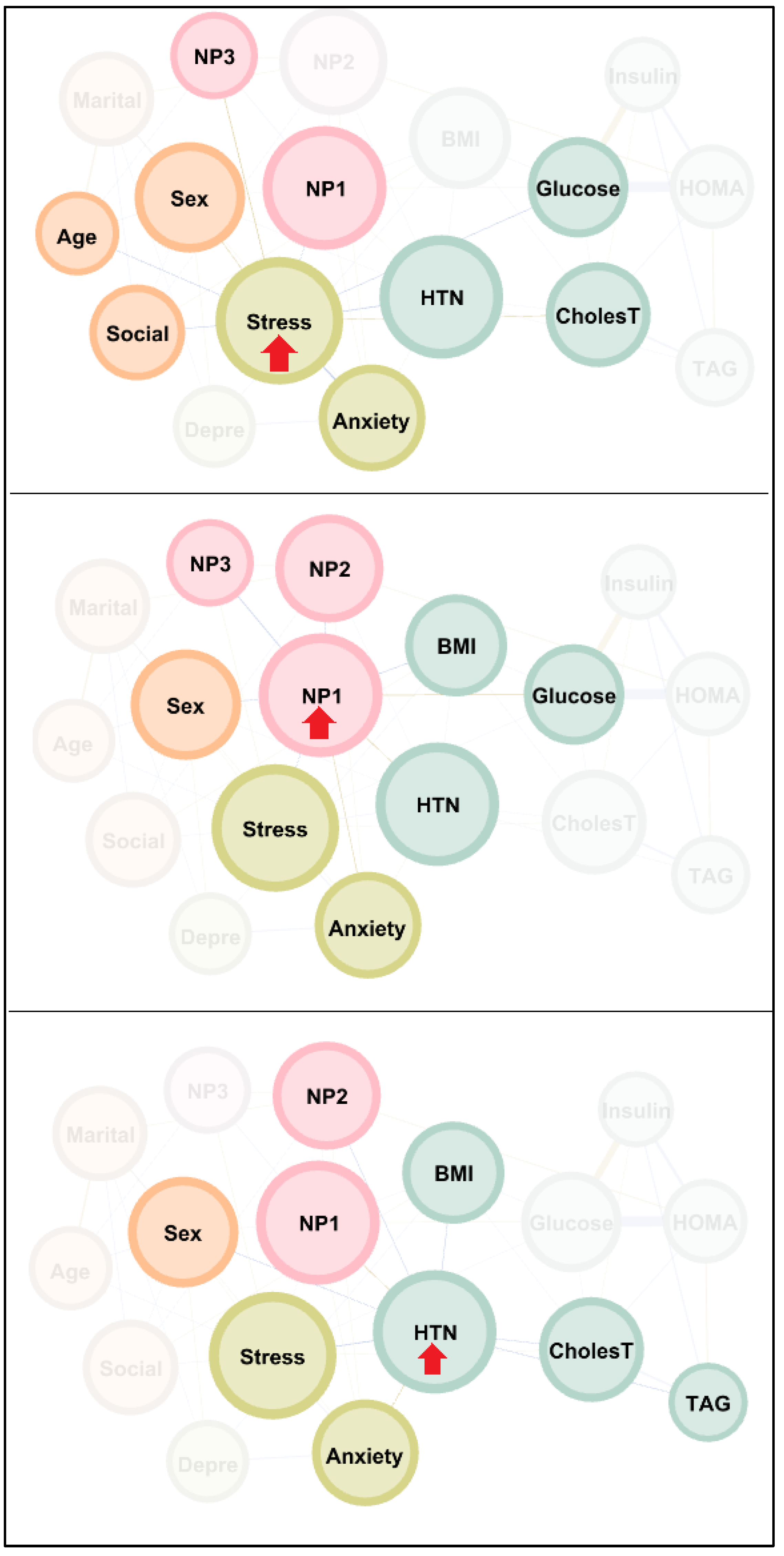 Nutrients 18 00145 g002 Nutrients 18 00145 g002