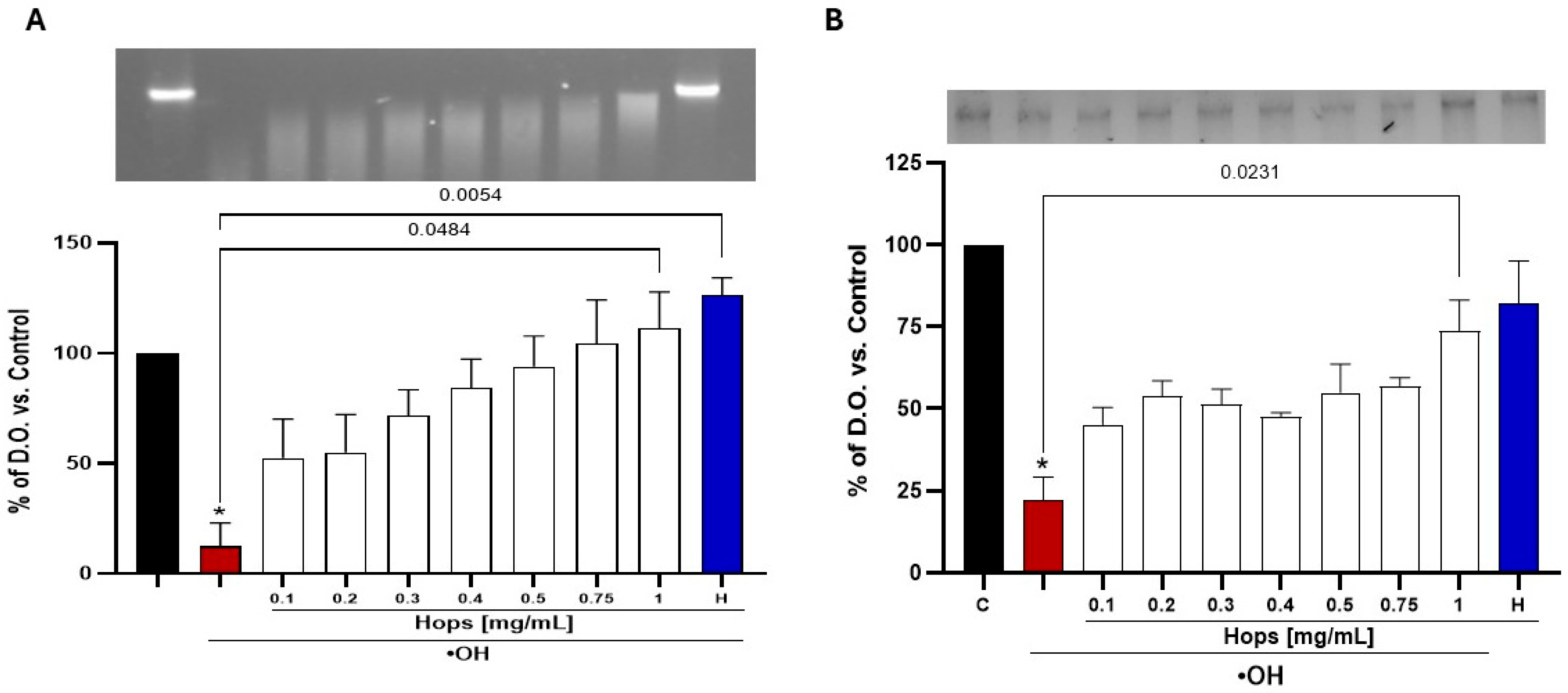 Nutrients 18 00152 g002 Nutrients 18 00152 g002