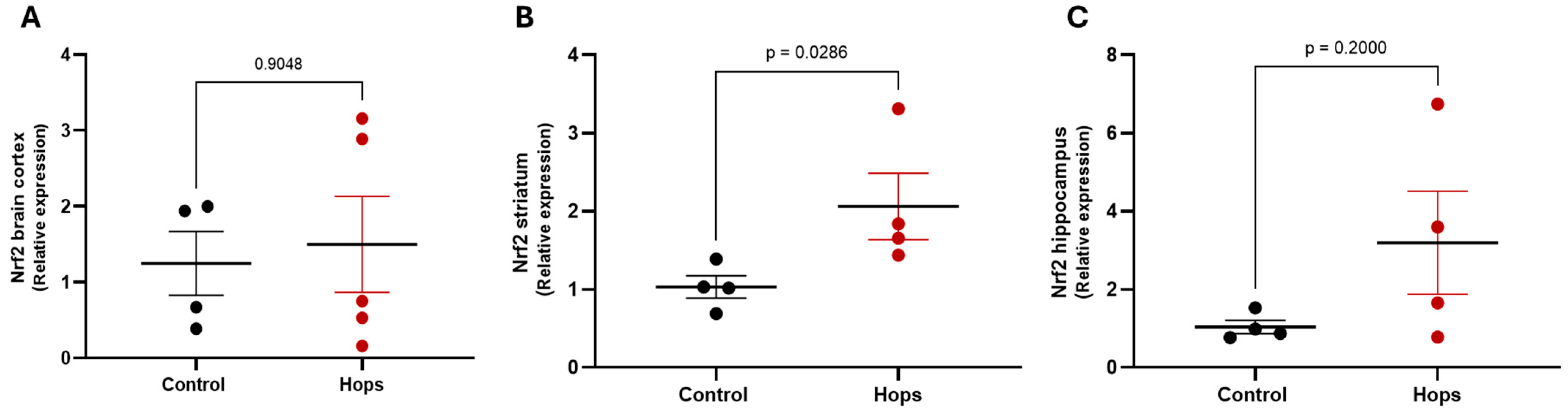 Nutrients 18 00152 g006 Nutrients 18 00152 g006