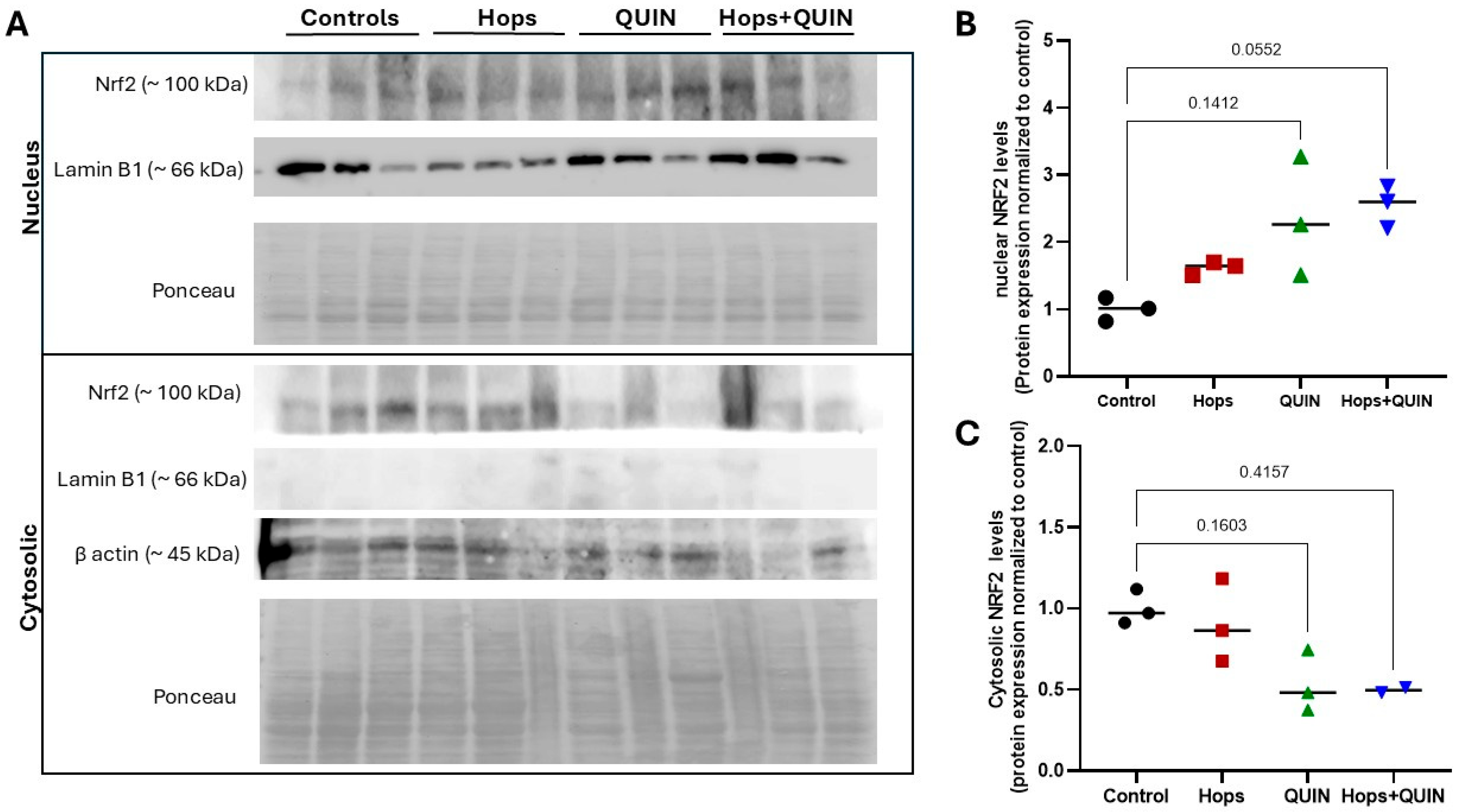 Nutrients 18 00152 g008 Nutrients 18 00152 g008