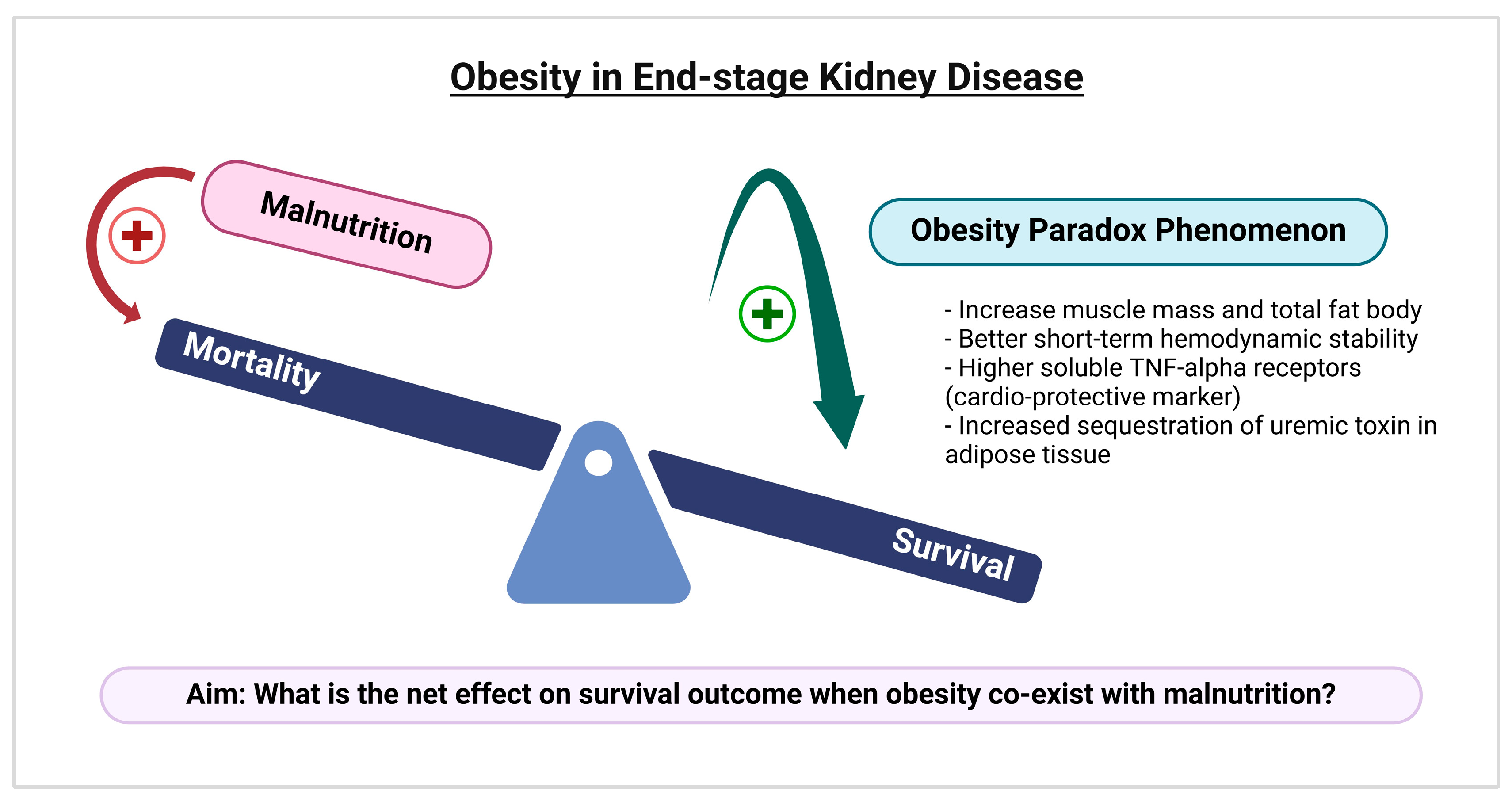 Nutrients 18 00157 g001 Nutrients 18 00157 g001